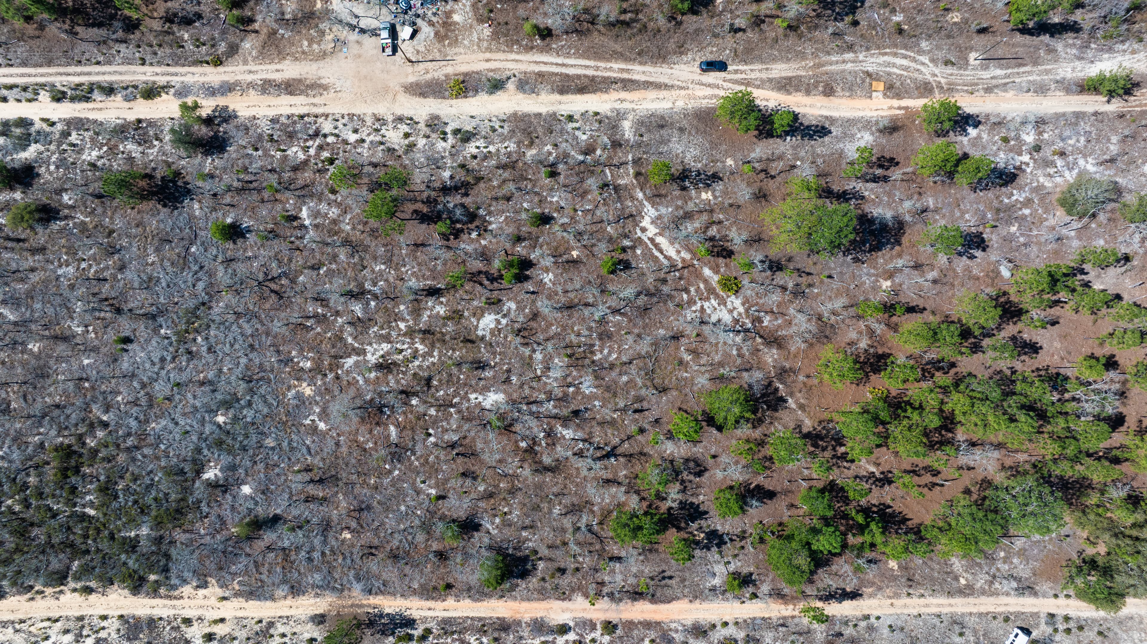 High, Dry, and Deeded: Your 0.2-Acre Florida Lookout — property view 6