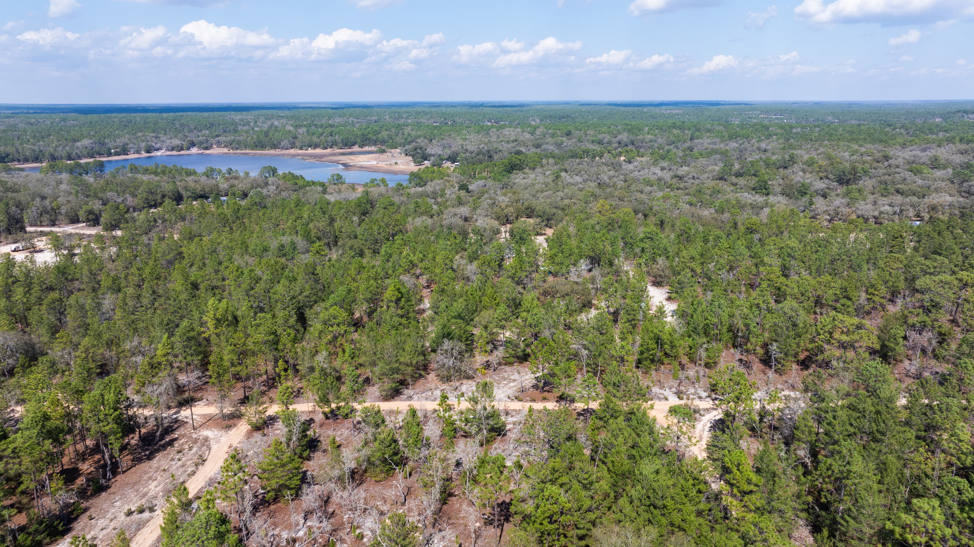 The High-Ground Corner: 0.37 Deeded Acres in Wild Florida — property view 7