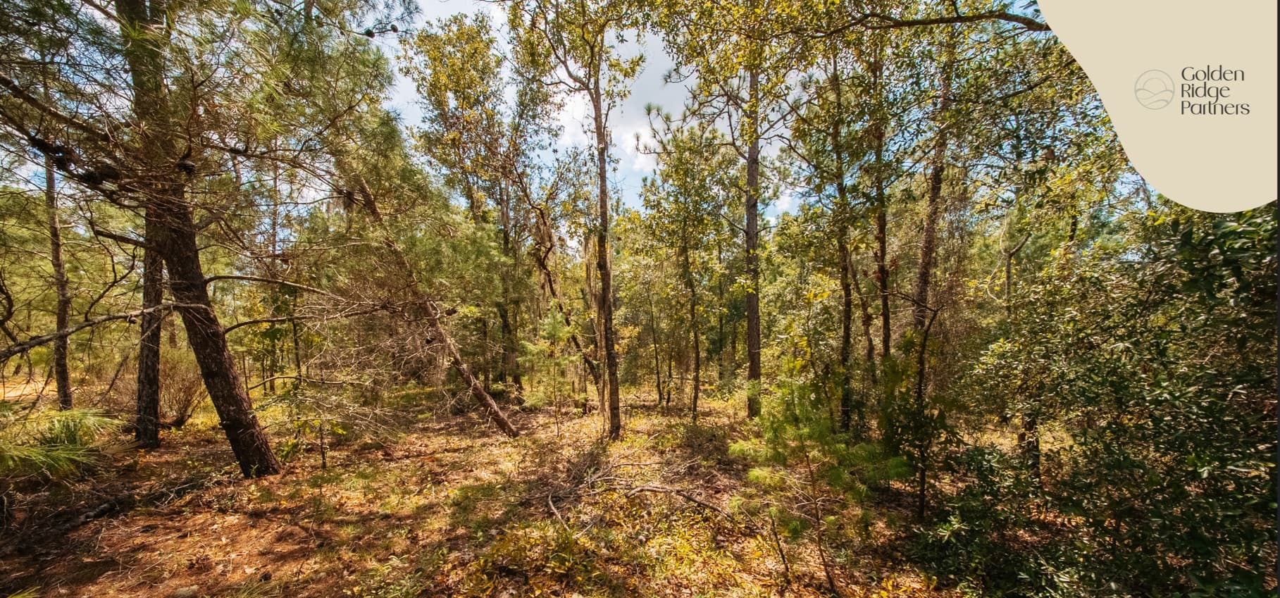 0.22 acre residential zoned land for sale in Putnam County, FL — photo 3