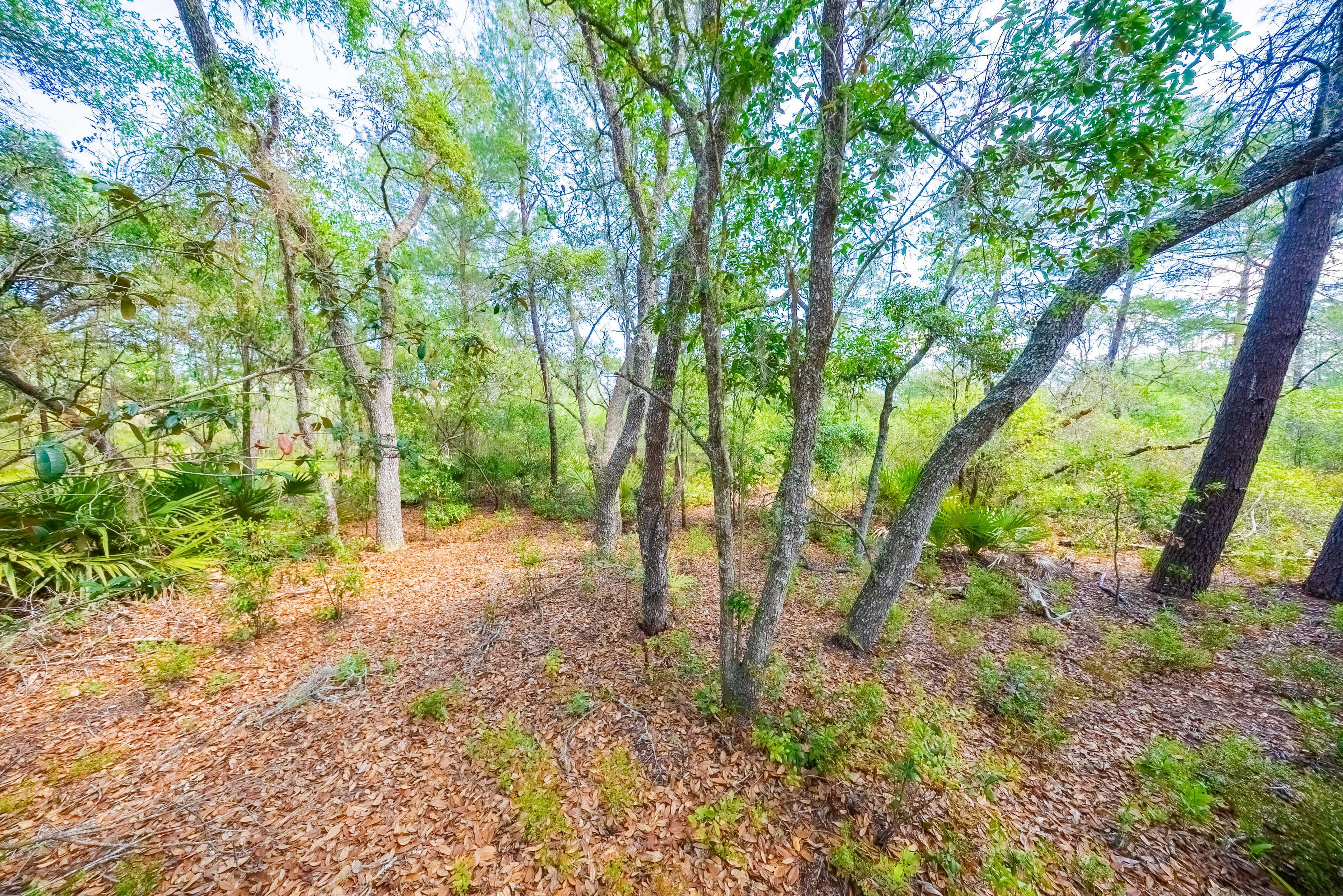 0.156 Acre Build-Ready City Lot with Water & Sewer in Sebring — property view 7