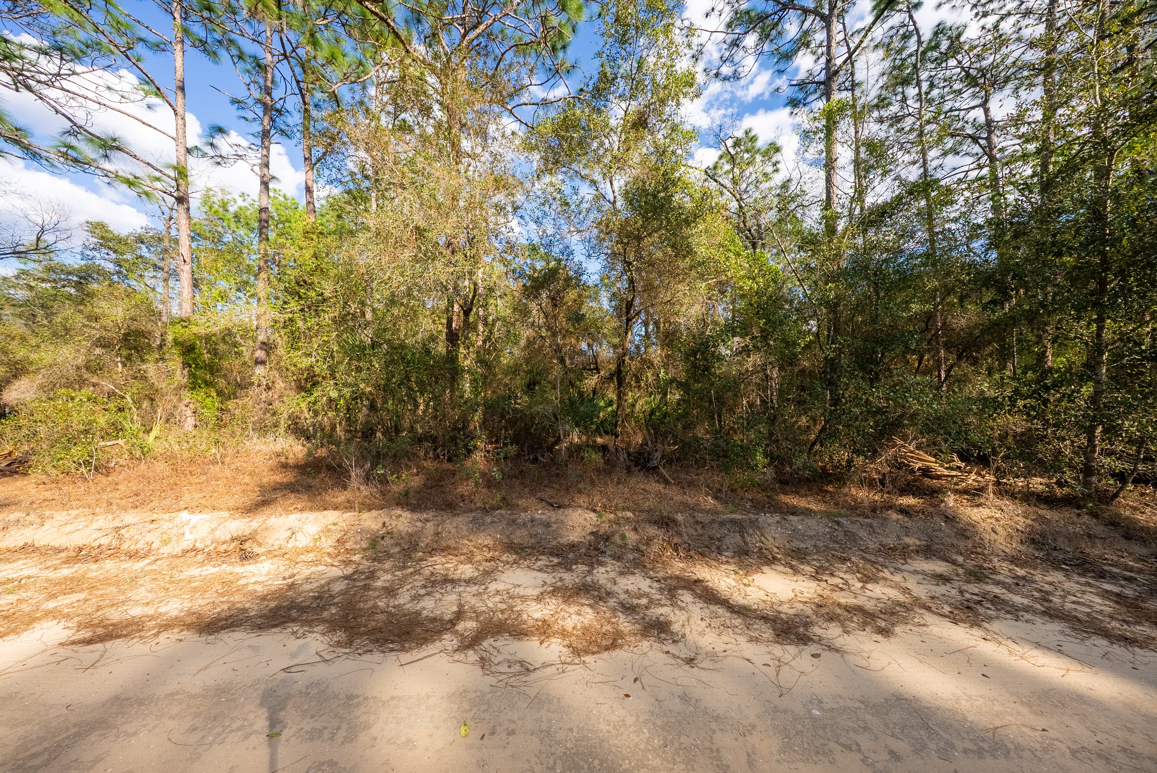 Riverside Retreat: 0.23 Acres on the St. Johns in Wild Florida — property view 8