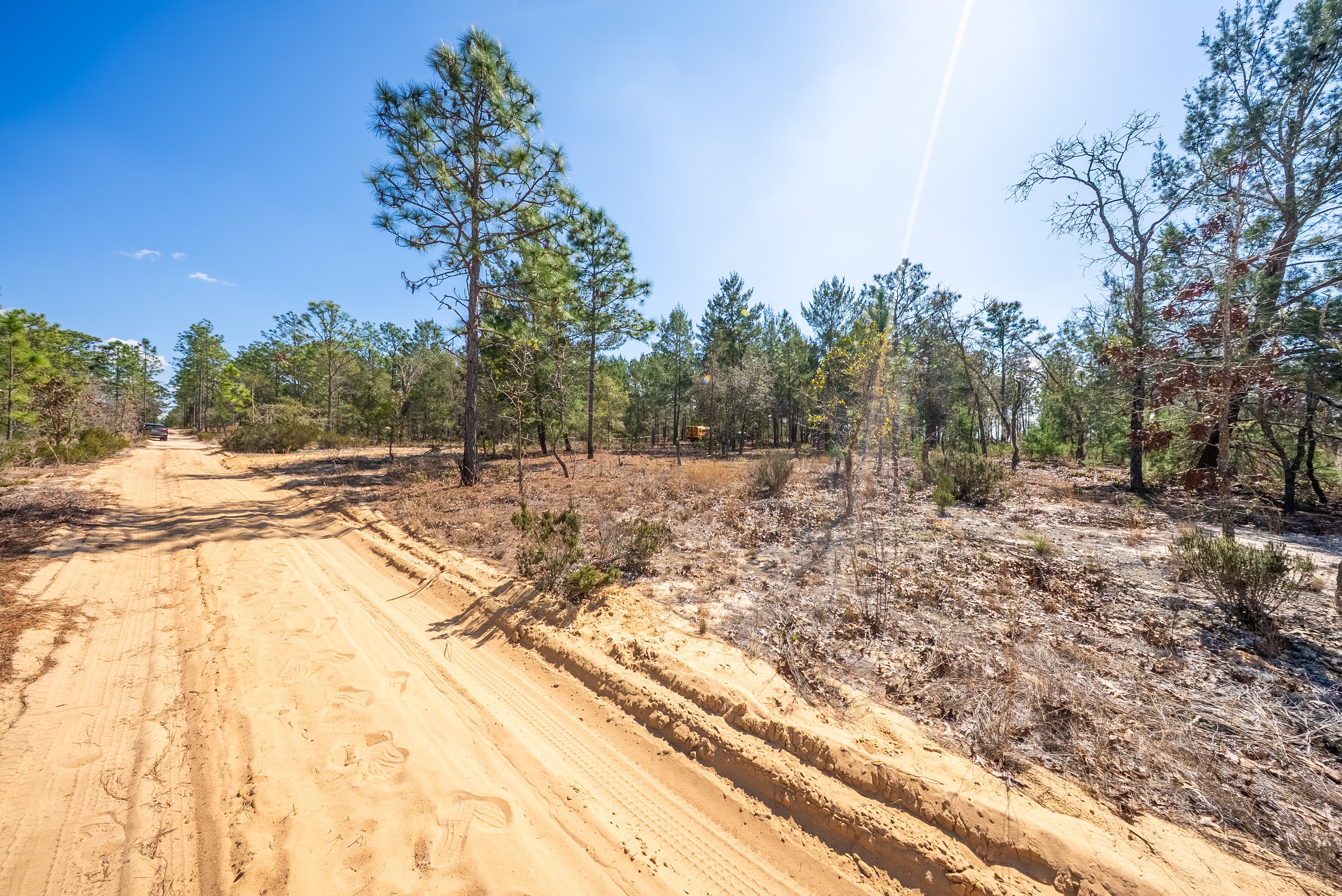 The High-Ground Corner: 0.37 Deeded Acres in Wild Florida — property view 11