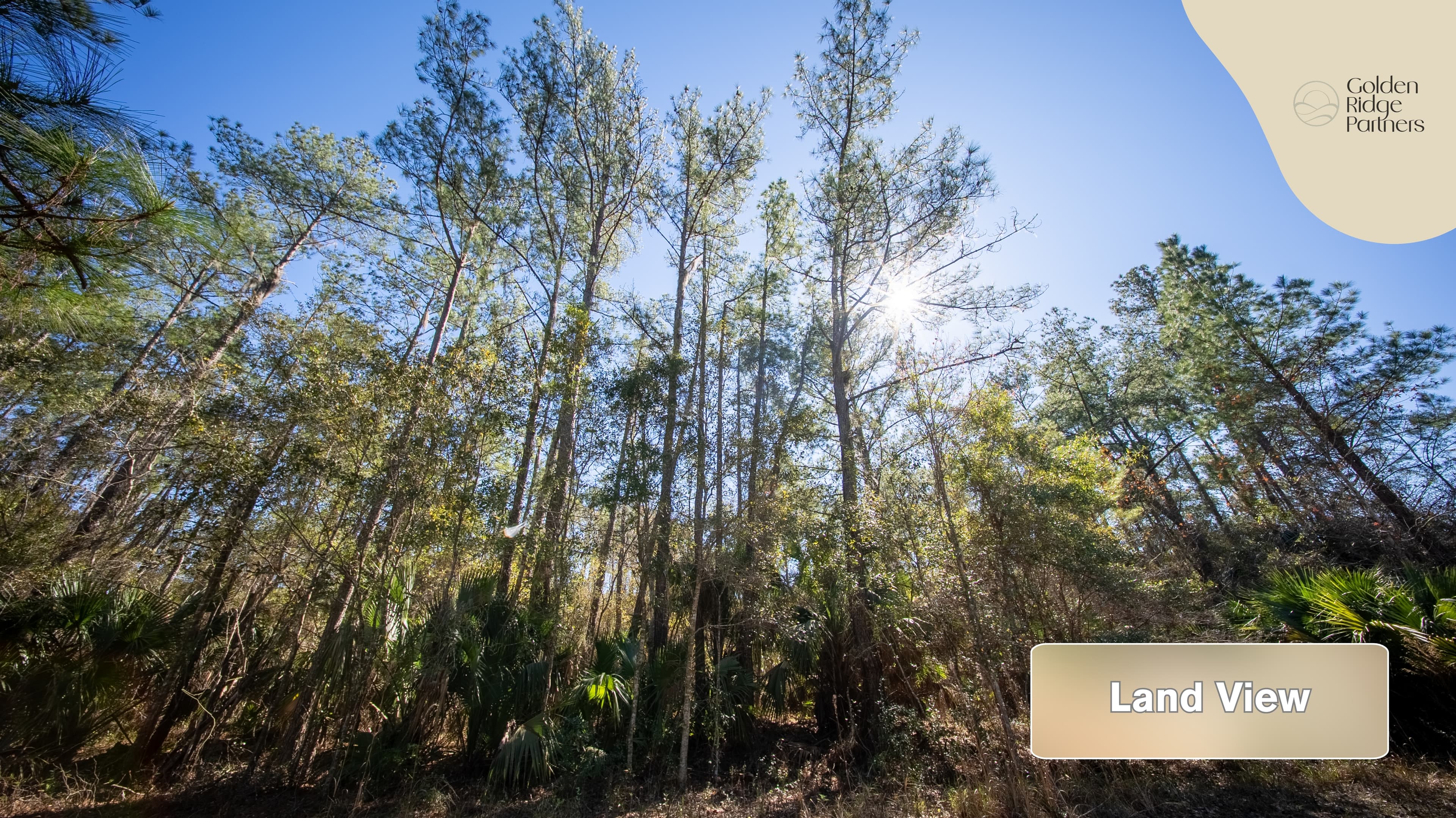 0.29 acre residential zoned land for sale in Putnam County, FL — photo 2