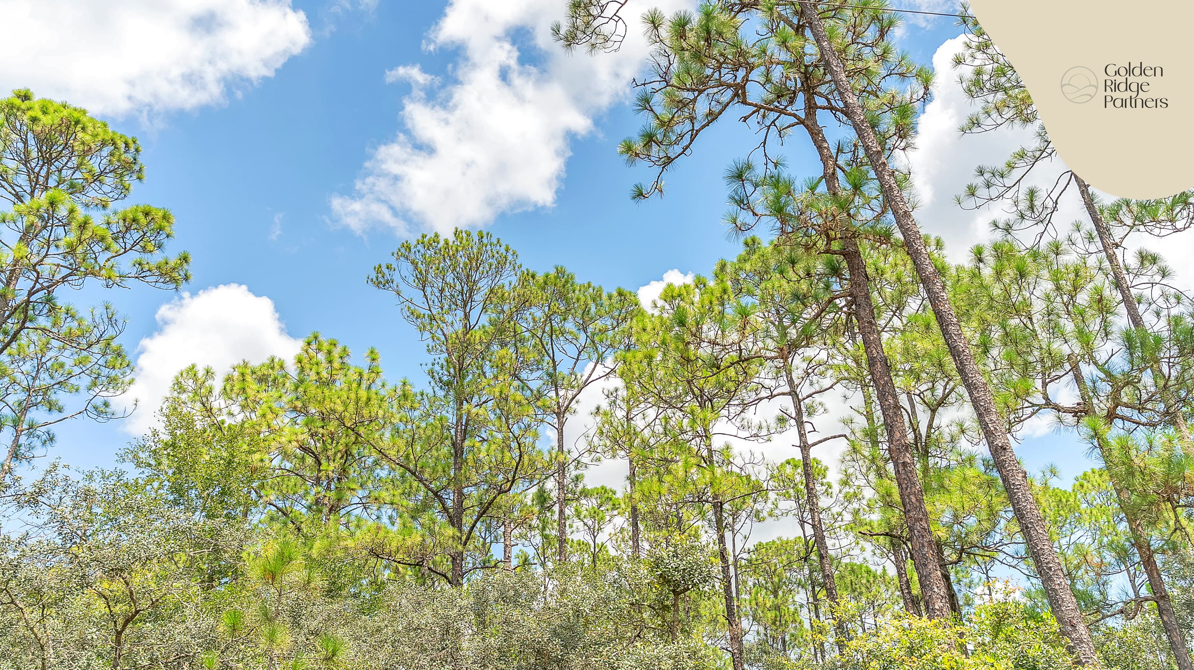 0.22 acre residential zoned land for sale in Putnam County, FL — photo 4