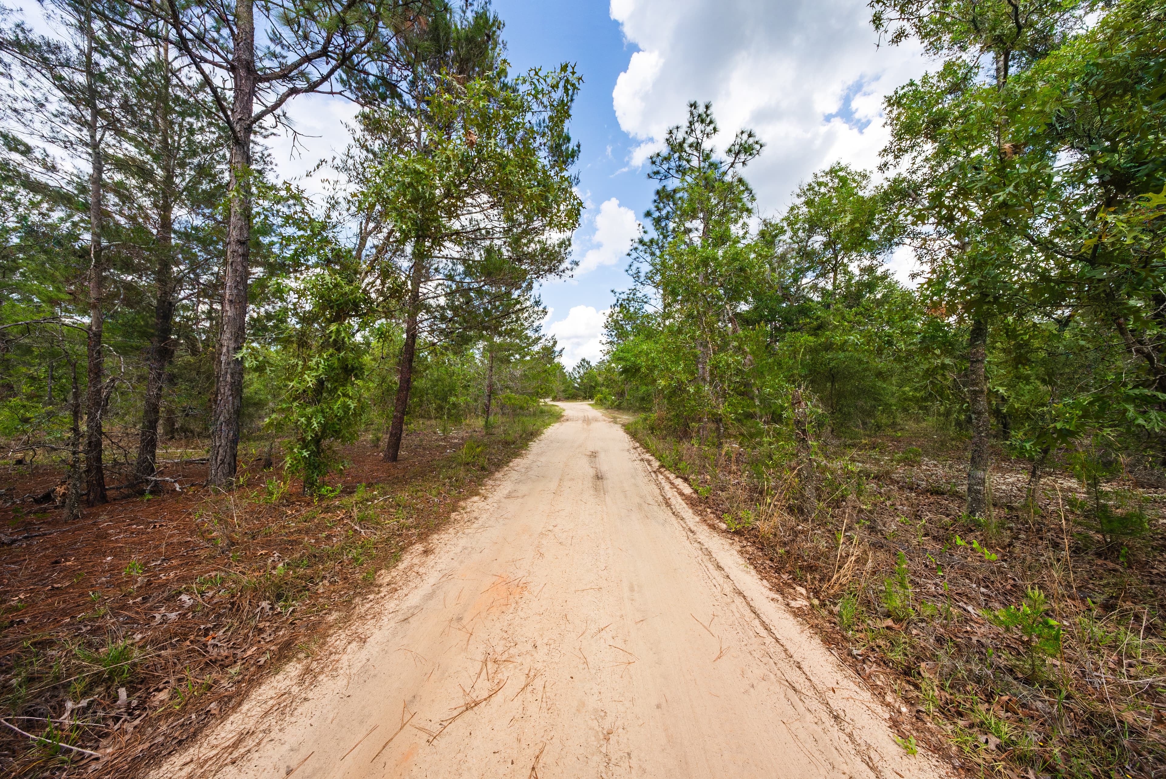 The West Lake Homestead: 0.25 Acres of AG-Zoned Freedom — property view 8