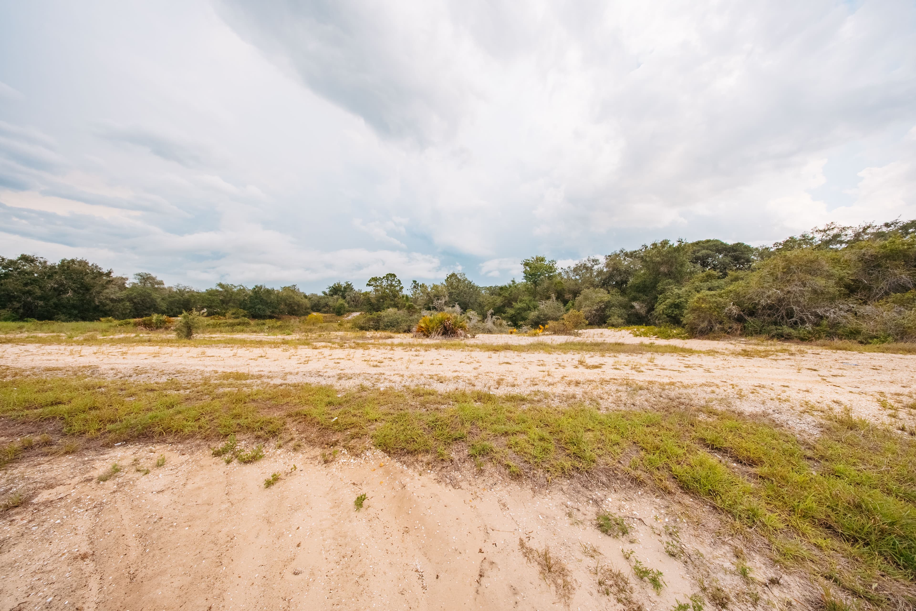 0.23 Acre Build-Ready Lot in Sun N Lakes, Lake Placid — property view 11