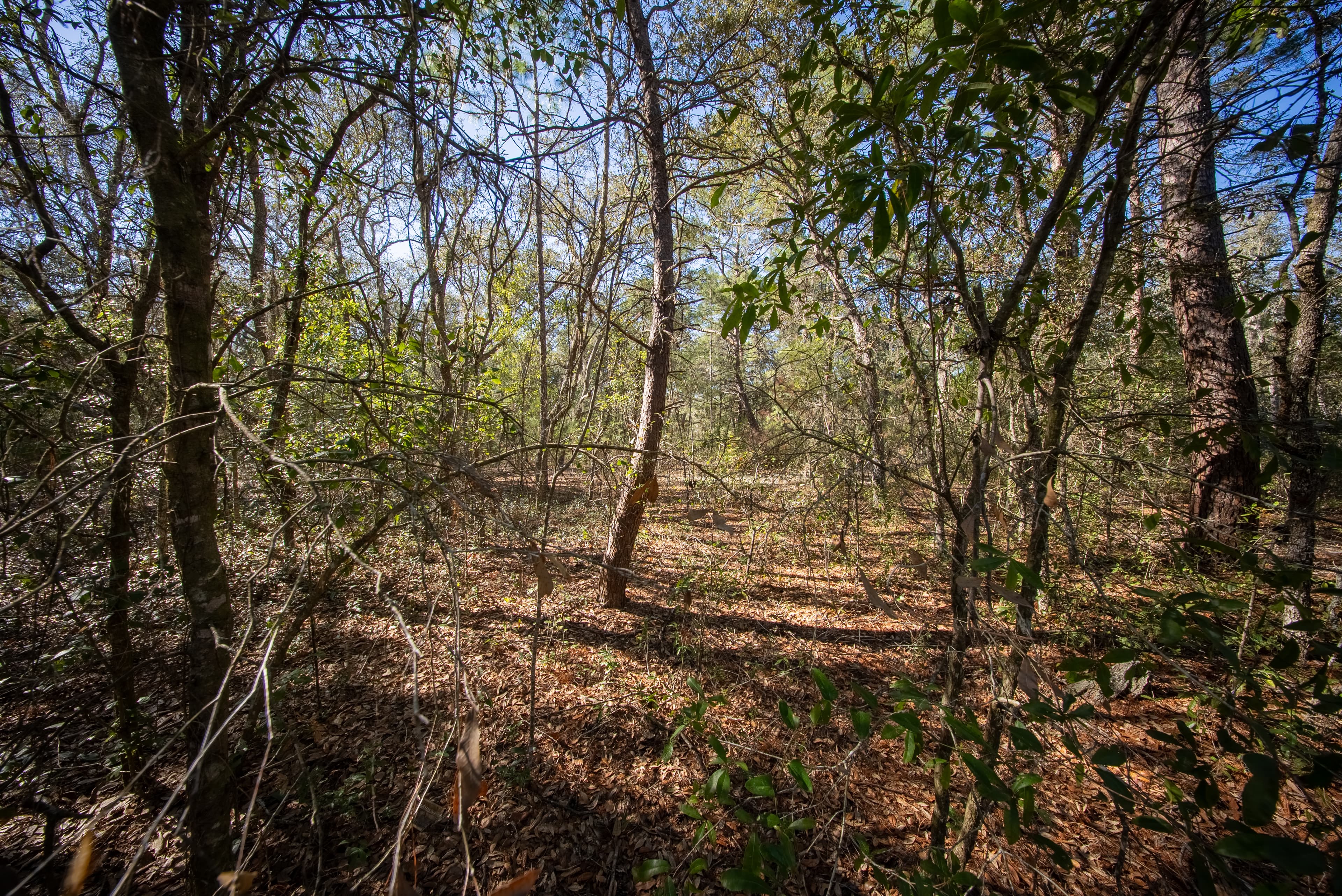 High Ground Harmony in Frederick Town — property view 15