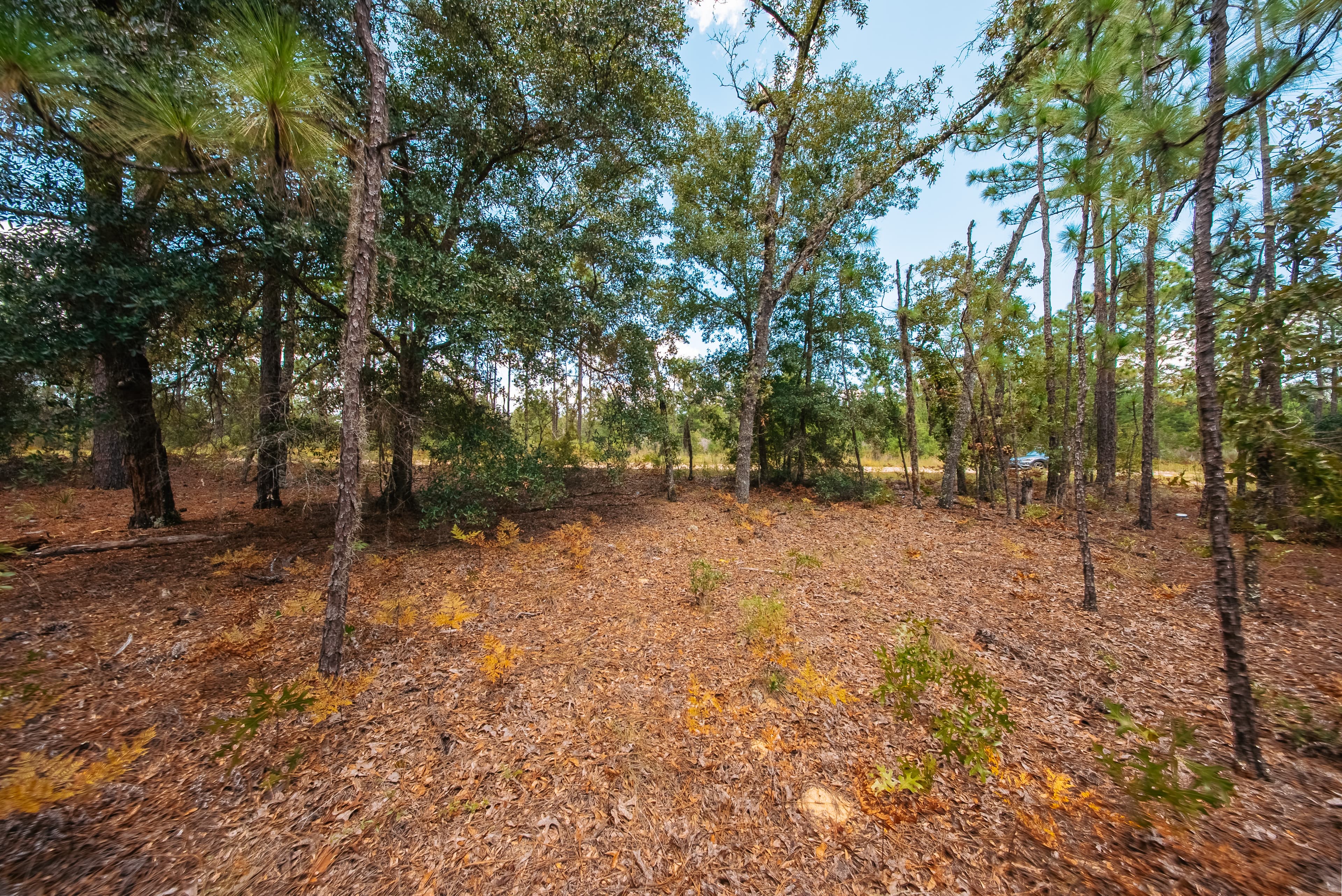 0.90 Acre Premium Lot in Mariners Lake Heights, Interlachen — property view 13