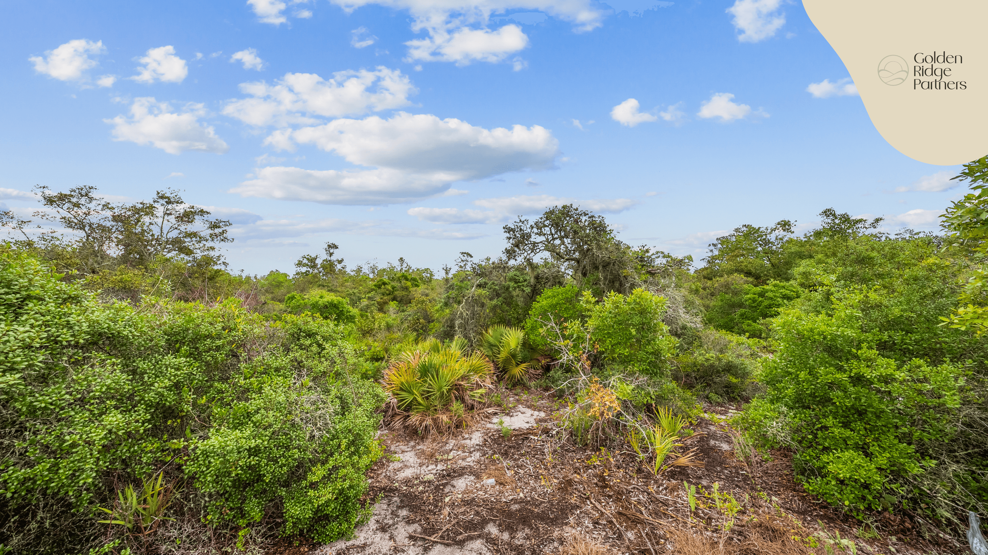 0.23 acre residential zoned land for sale in Highlands County, FL — photo 3