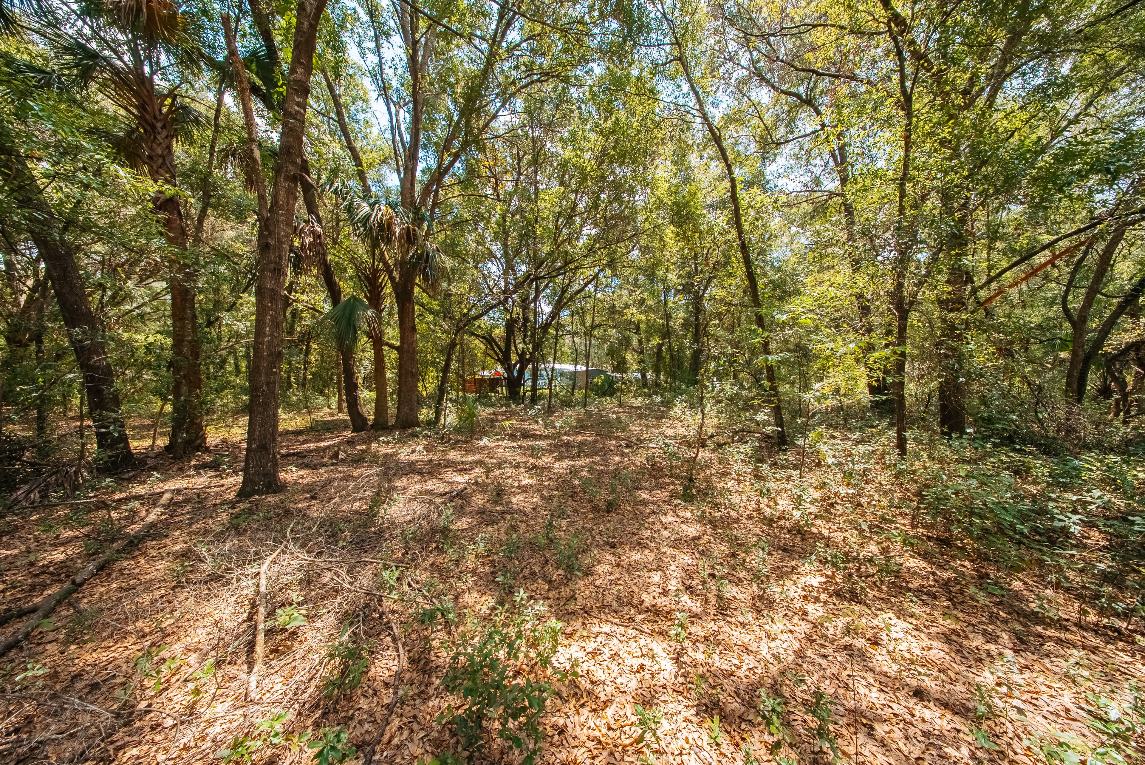 0.215 Acre Build-Ready Lot in Interlachen Lakes Estates — property view 14