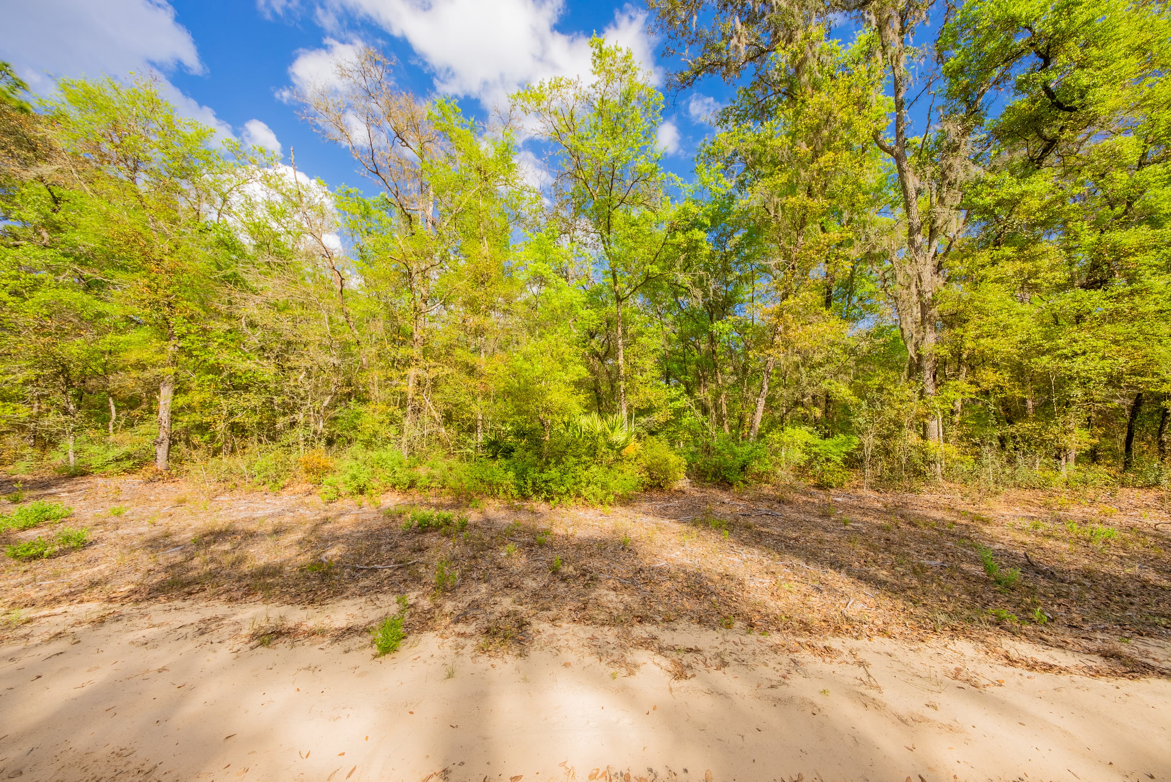 The Gloria Avenue Retreat: 0.22 High & Dry Acres in Hawthorne — property view 11