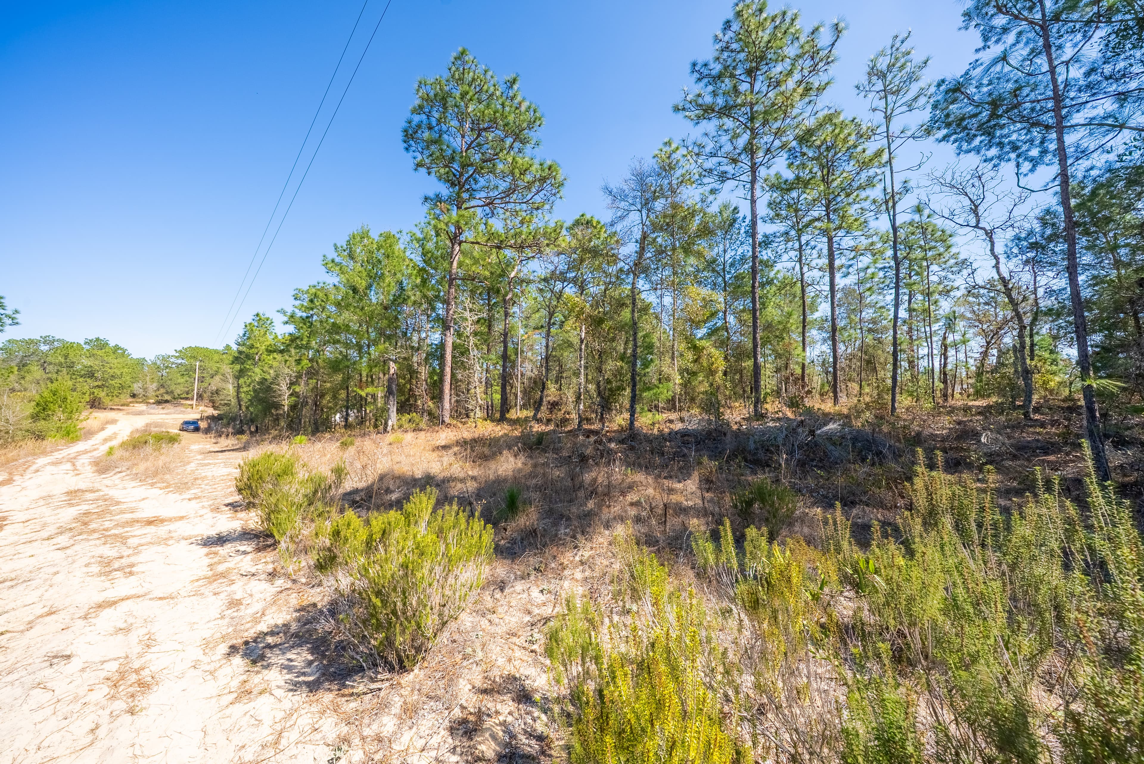 The Trout Lake Estate: 1.22 Acres of Untouched Florida Freedom — property view 6