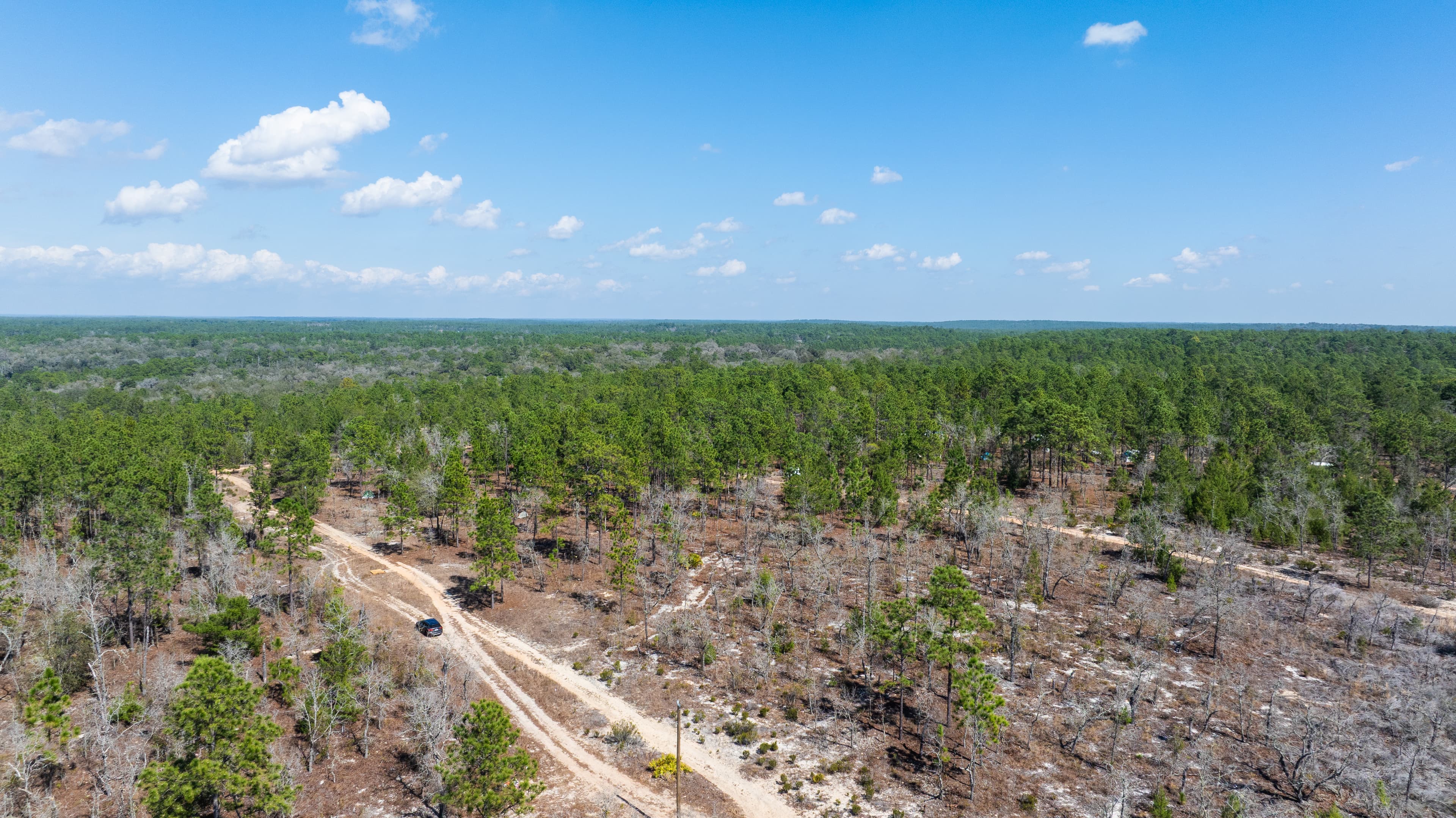 The Summit at Iowa Ave: 0.4 Acres of High-Ground Freedom — property view 7