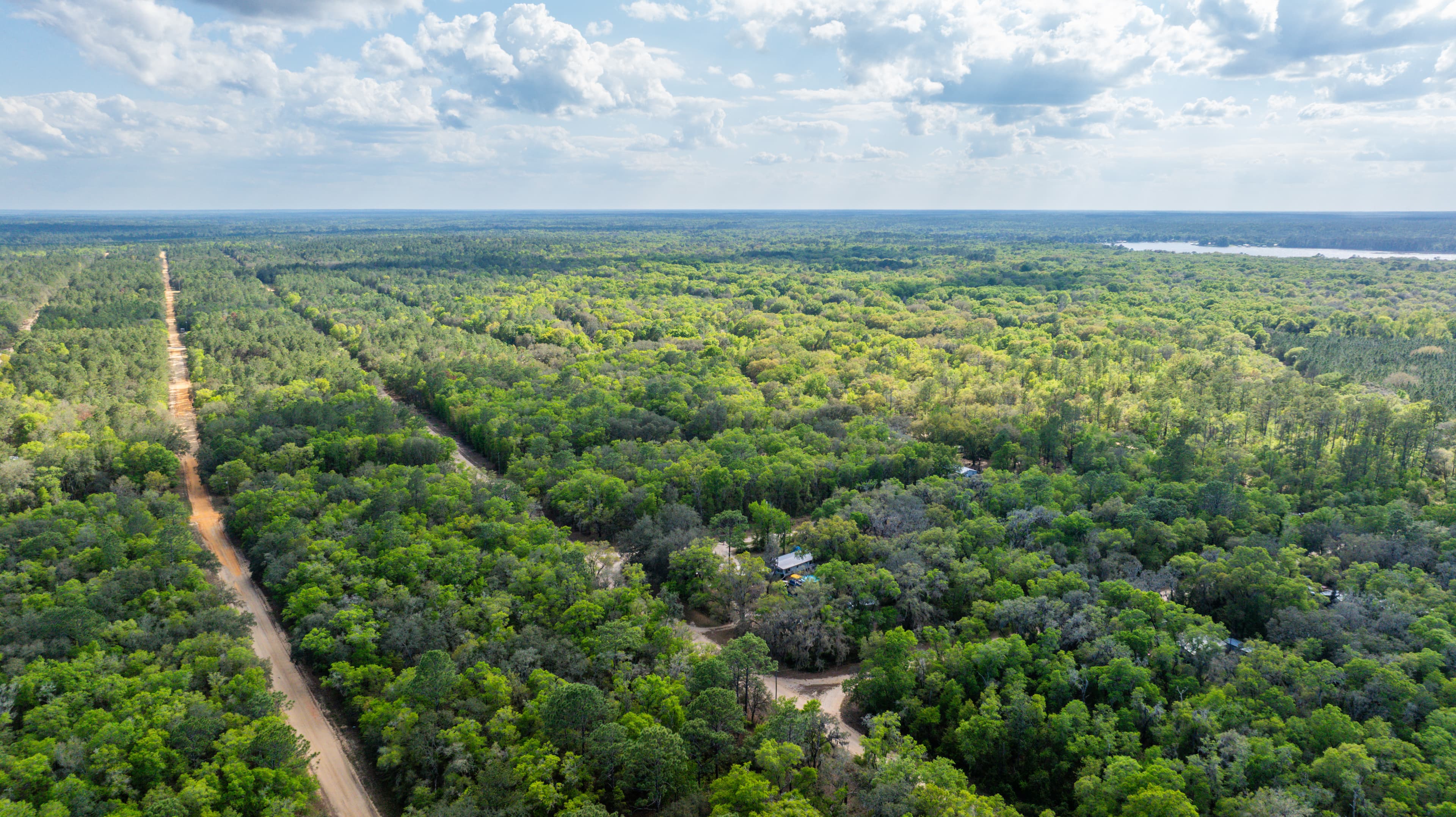 The Gloria Avenue Retreat: 0.22 High & Dry Acres in Hawthorne — property view 7