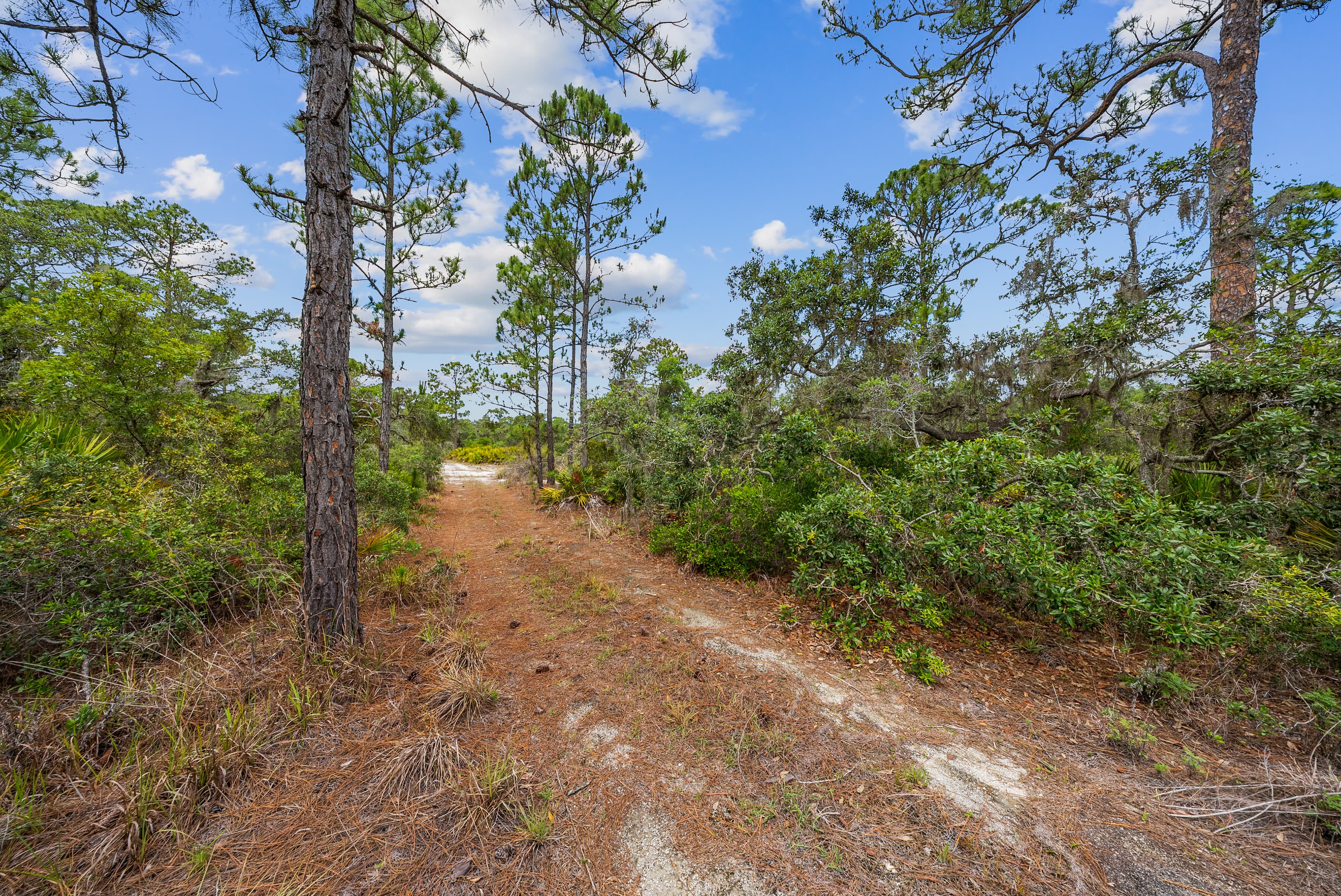0.23 acre residential zoned land for sale in Highlands County, FL — photo 3