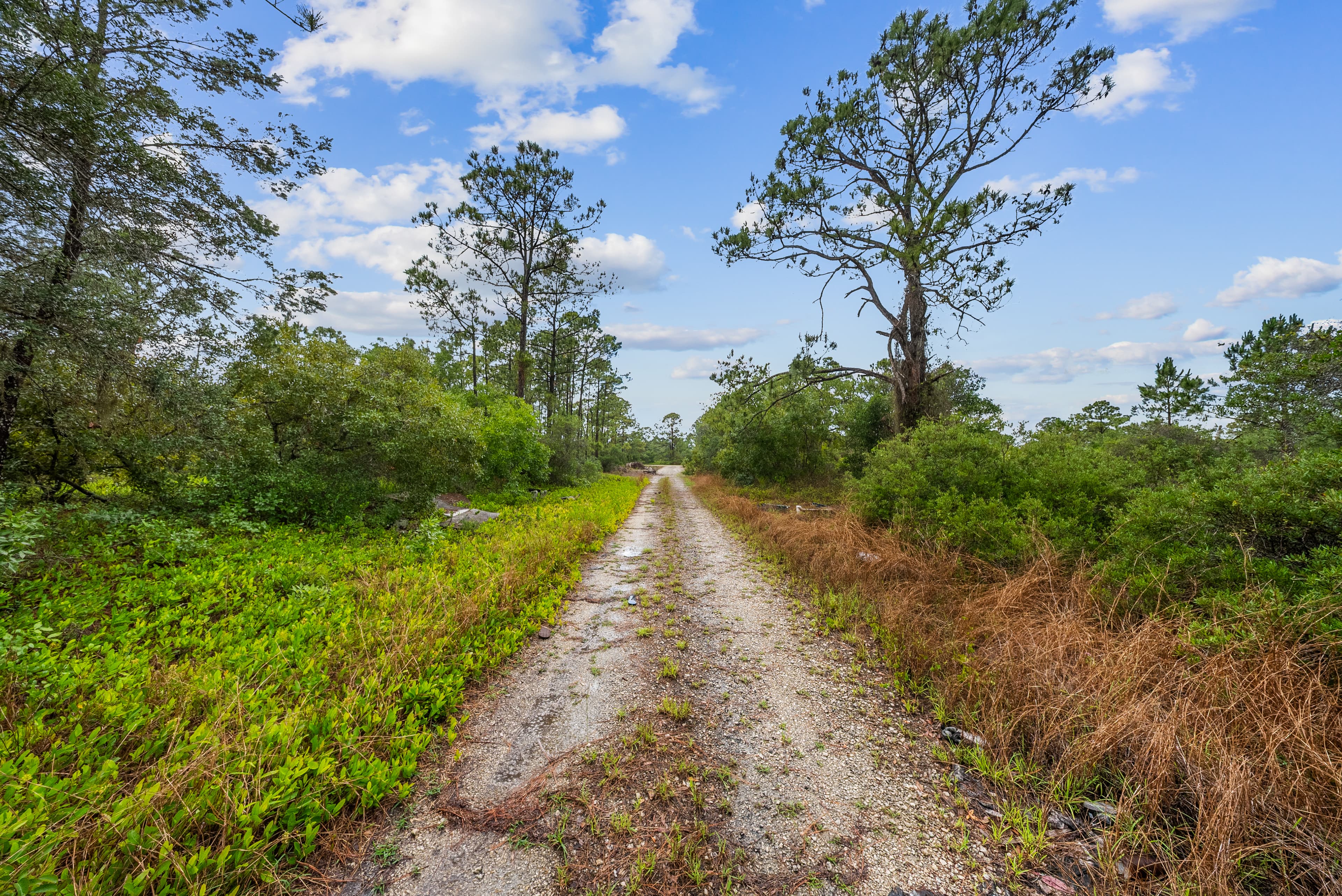 The Hollow Lane Haven: 0.23 Acres of Site-Built Exclusivity — property view 5
