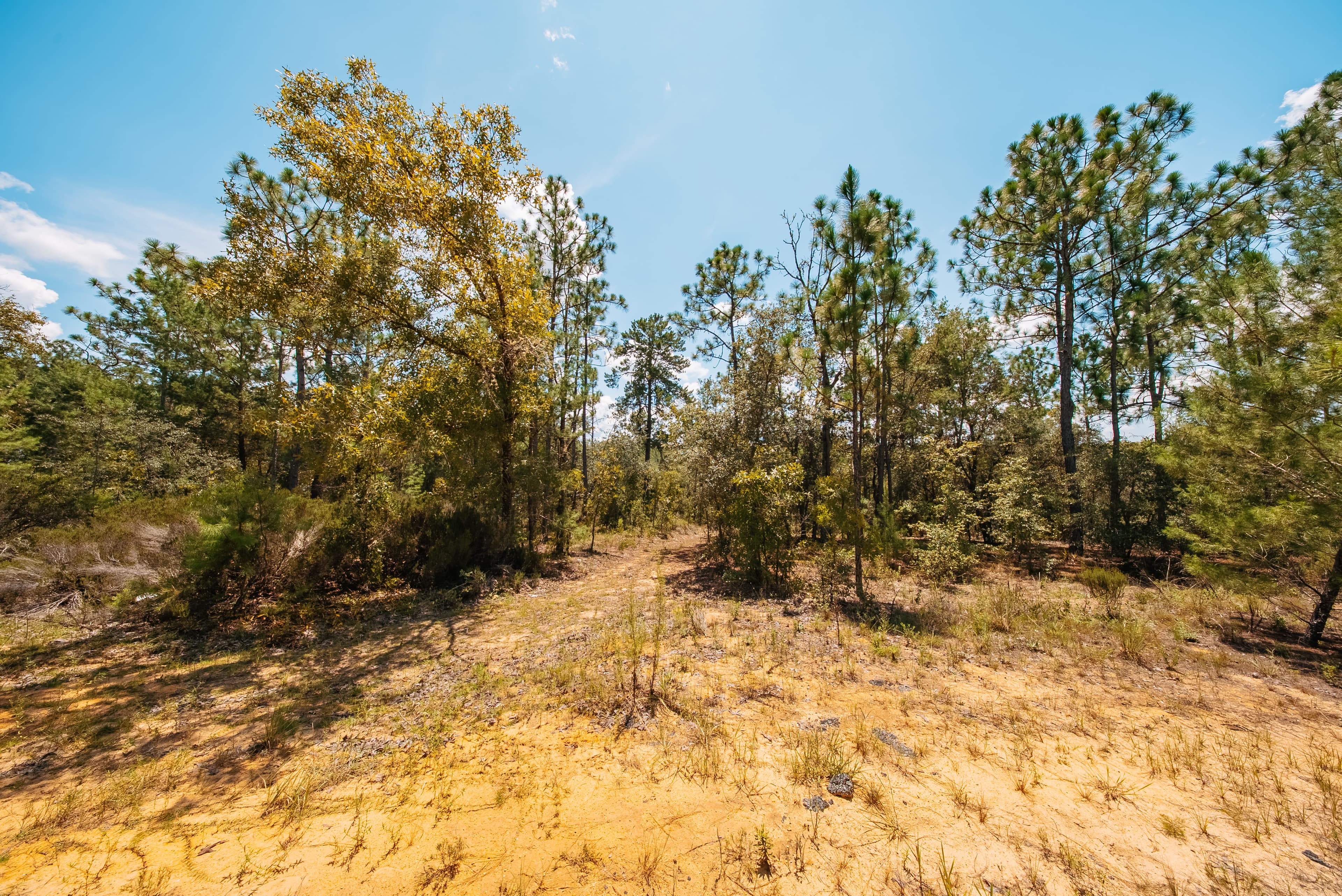 1.03 Acre Premium Estate Lot in Mariners Lake Heights, Interlachen — property view 15
