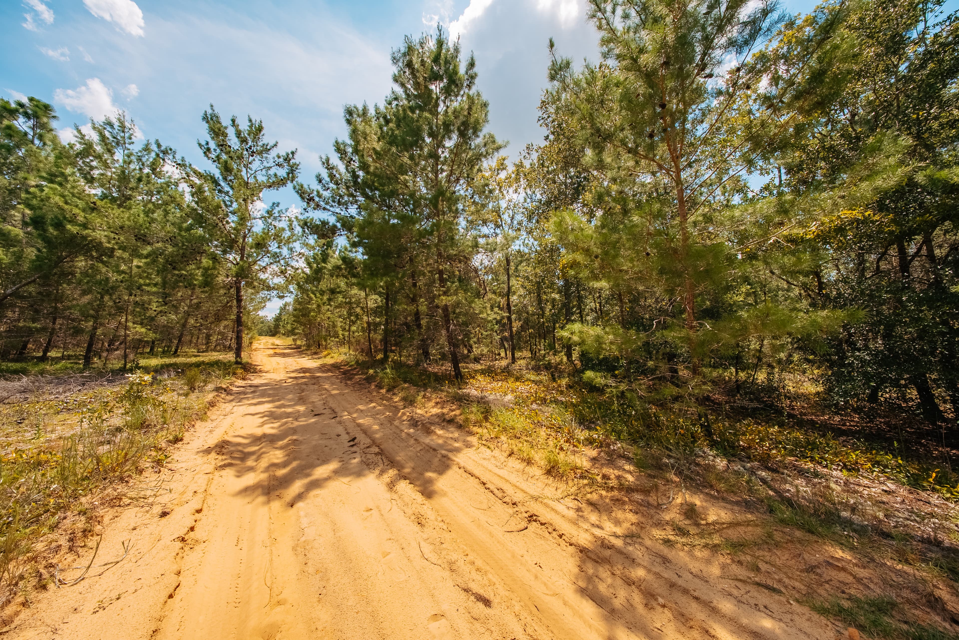 0.22 Acre Build-Ready Lot in Interlachen Lakes Estates — property view 14