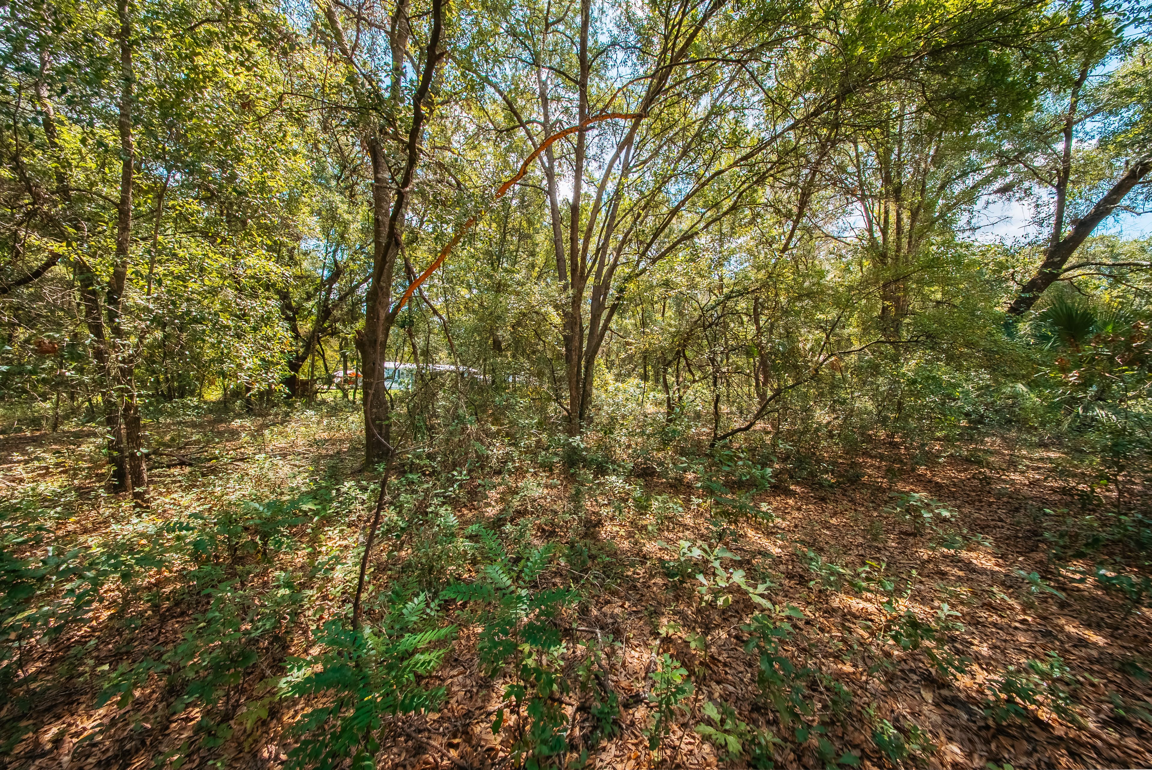 0.215 Acre Build-Ready Lot in Interlachen Lakes Estates — property view 13