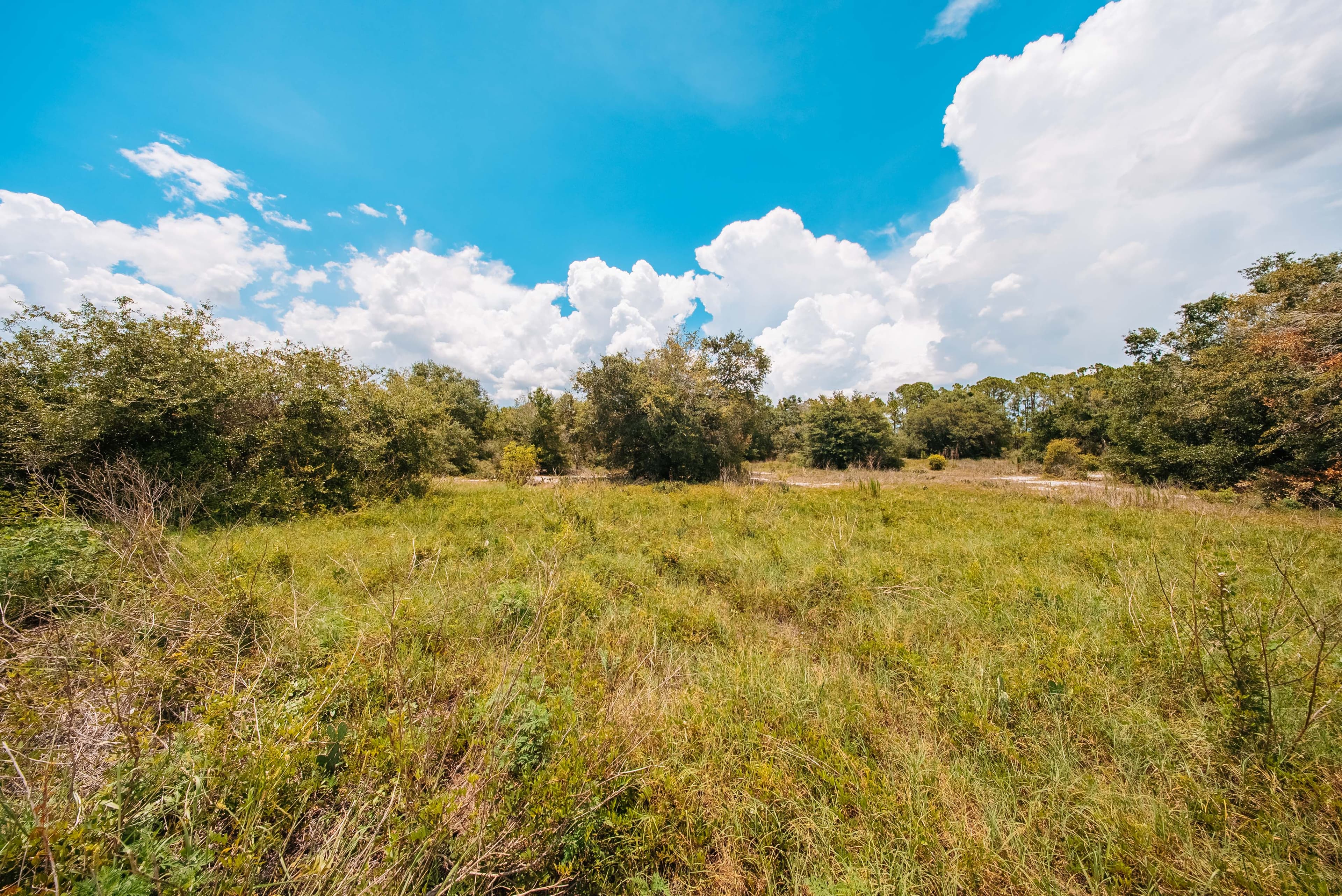  0.23 Acre Build-Ready Lot in Sun N Lakes, Lake Placid — property view 9