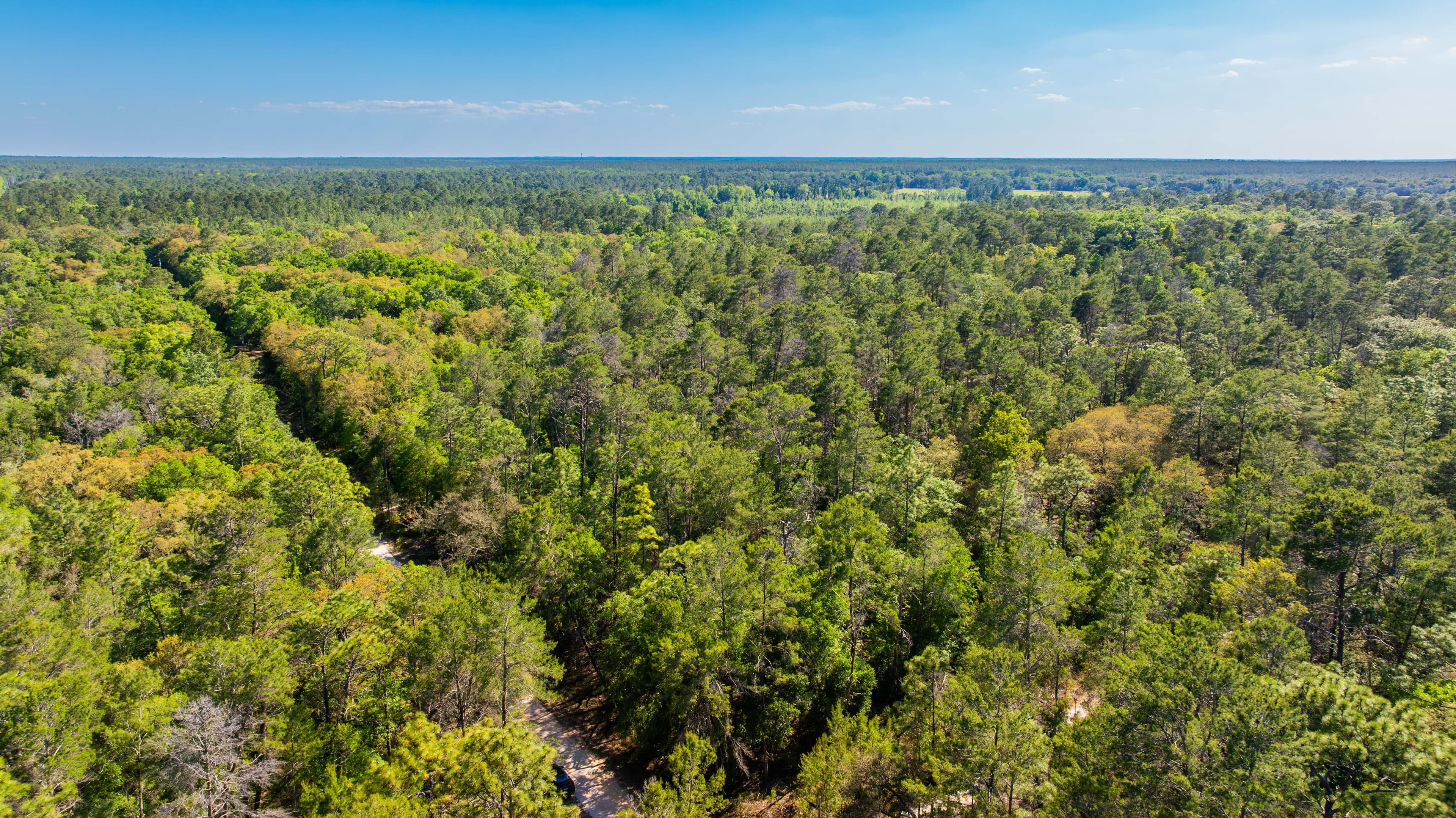 0.23 acre residential zoned land for sale in Putnam County, FL — photo 4