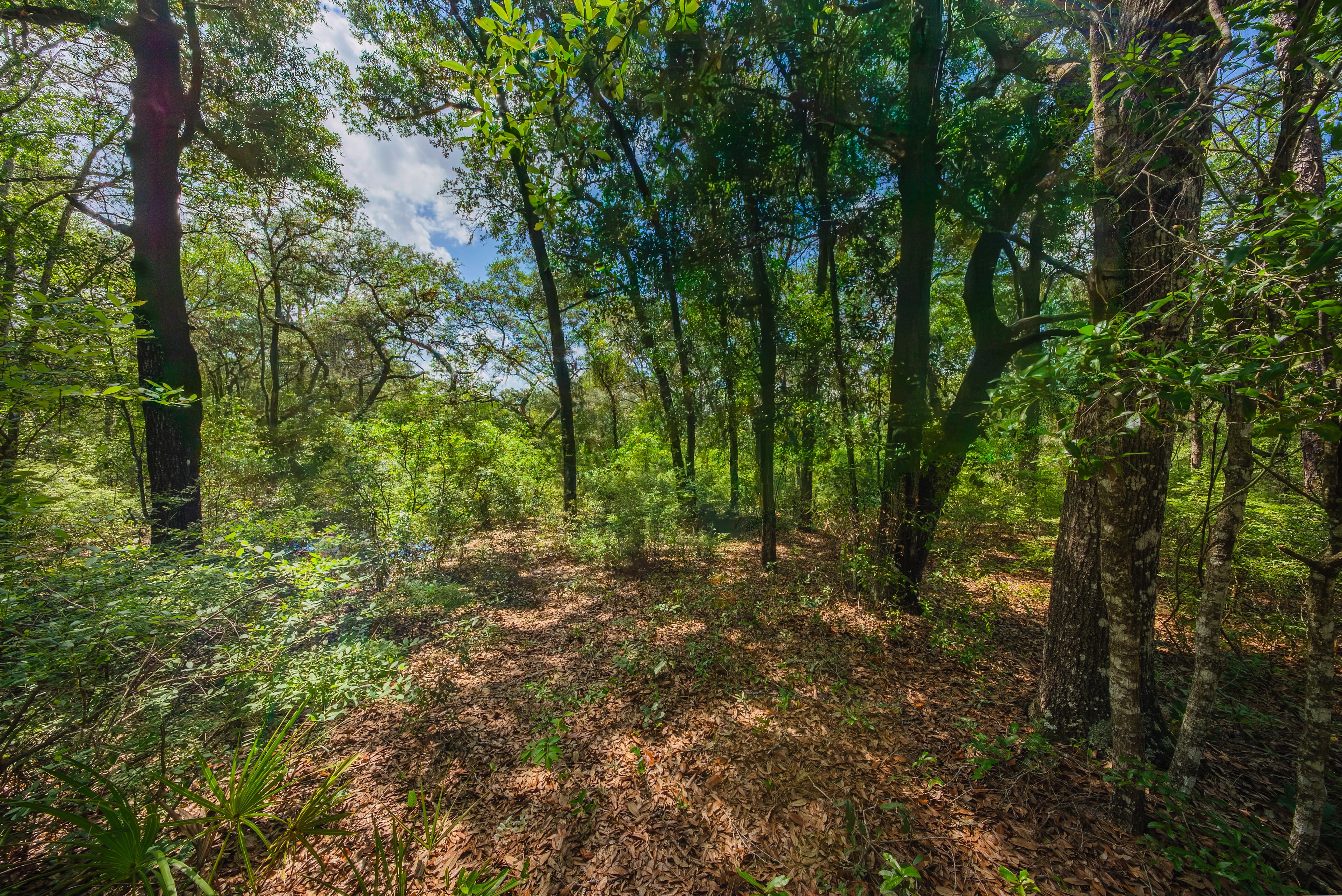 The Interlachen Summit: 0.22 Acres at an Incredible 205ft Elevation — property view 7