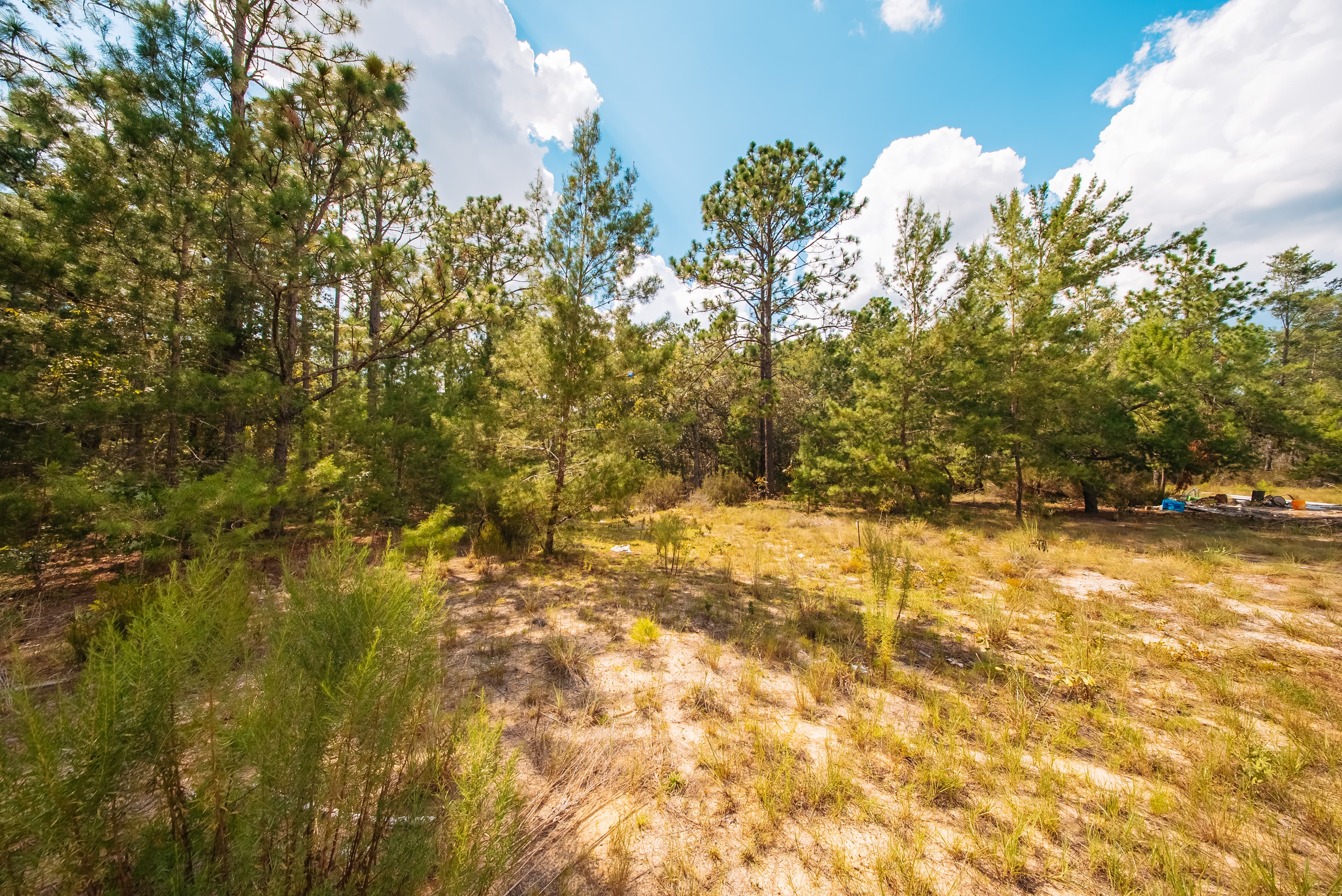  0.23 Acre Build-Ready Lot in Interlachen Lakes Estates — property view 12