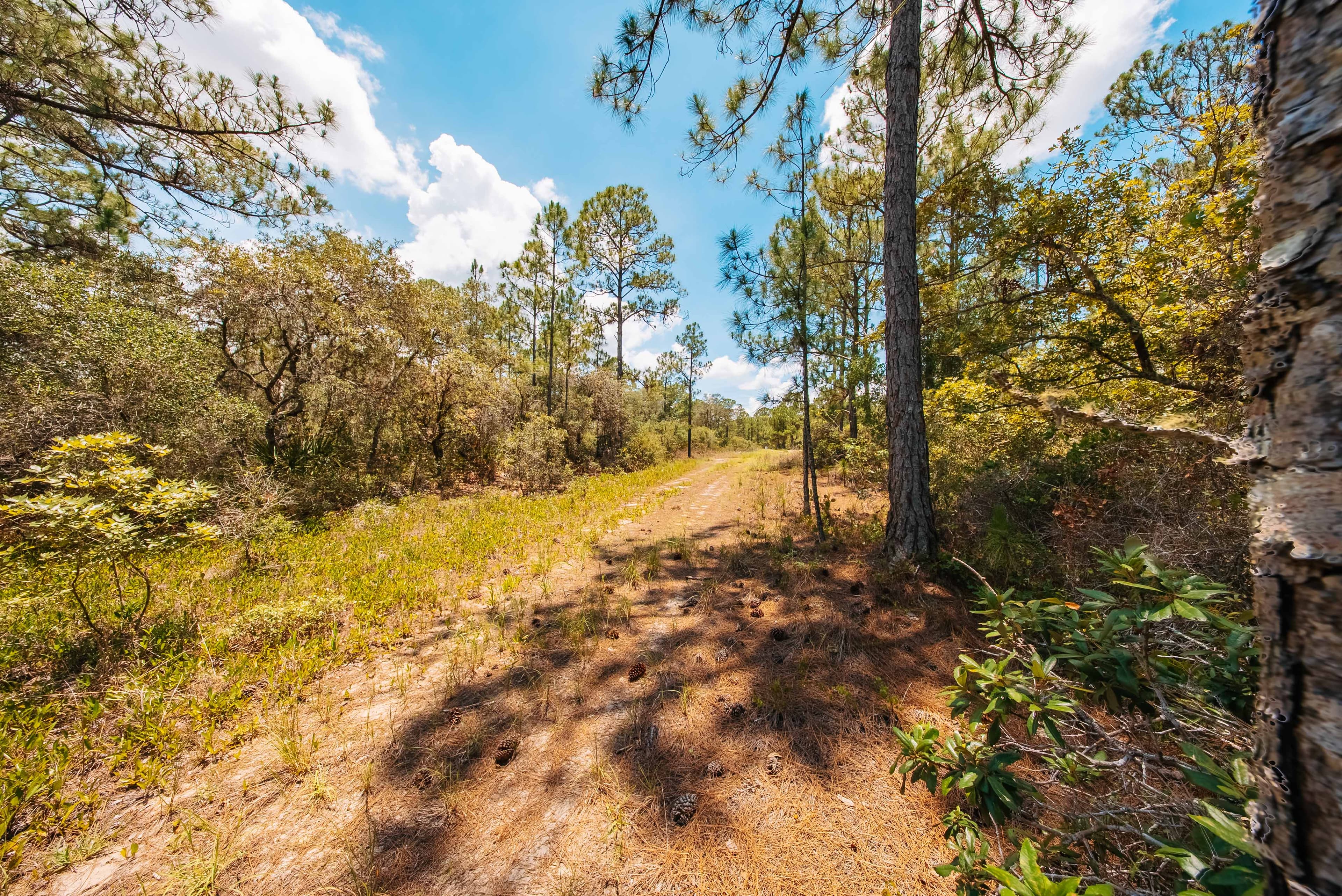 Premium 0.23-Acre High-Elevation Lot in Sun 'N Lakes, Lake Placid — property view 8