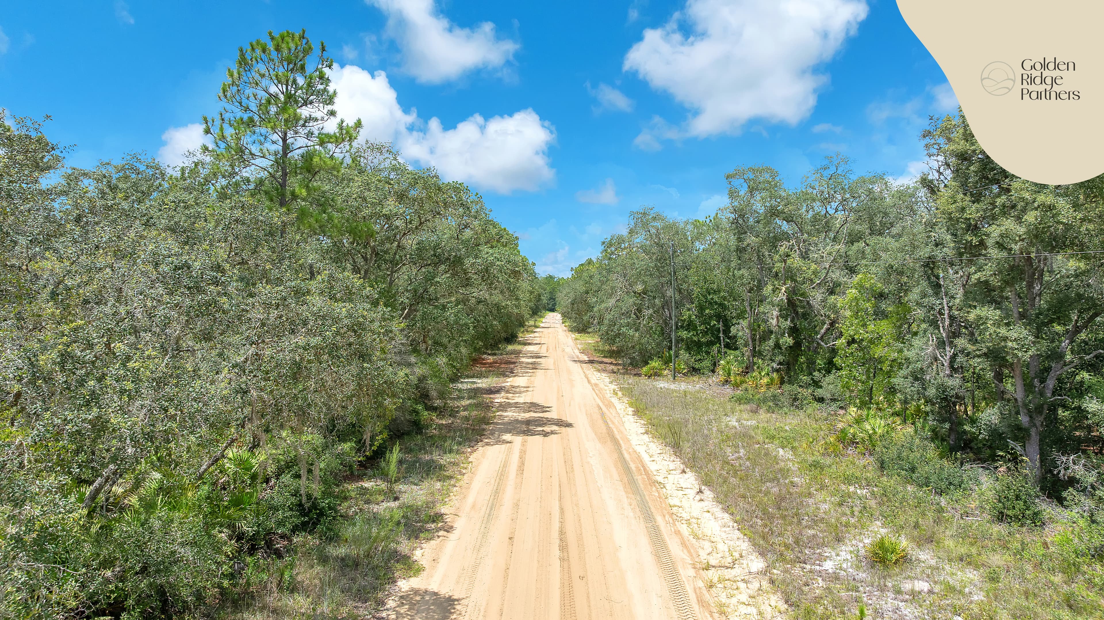 This is Where Dreams are Built — property view 9