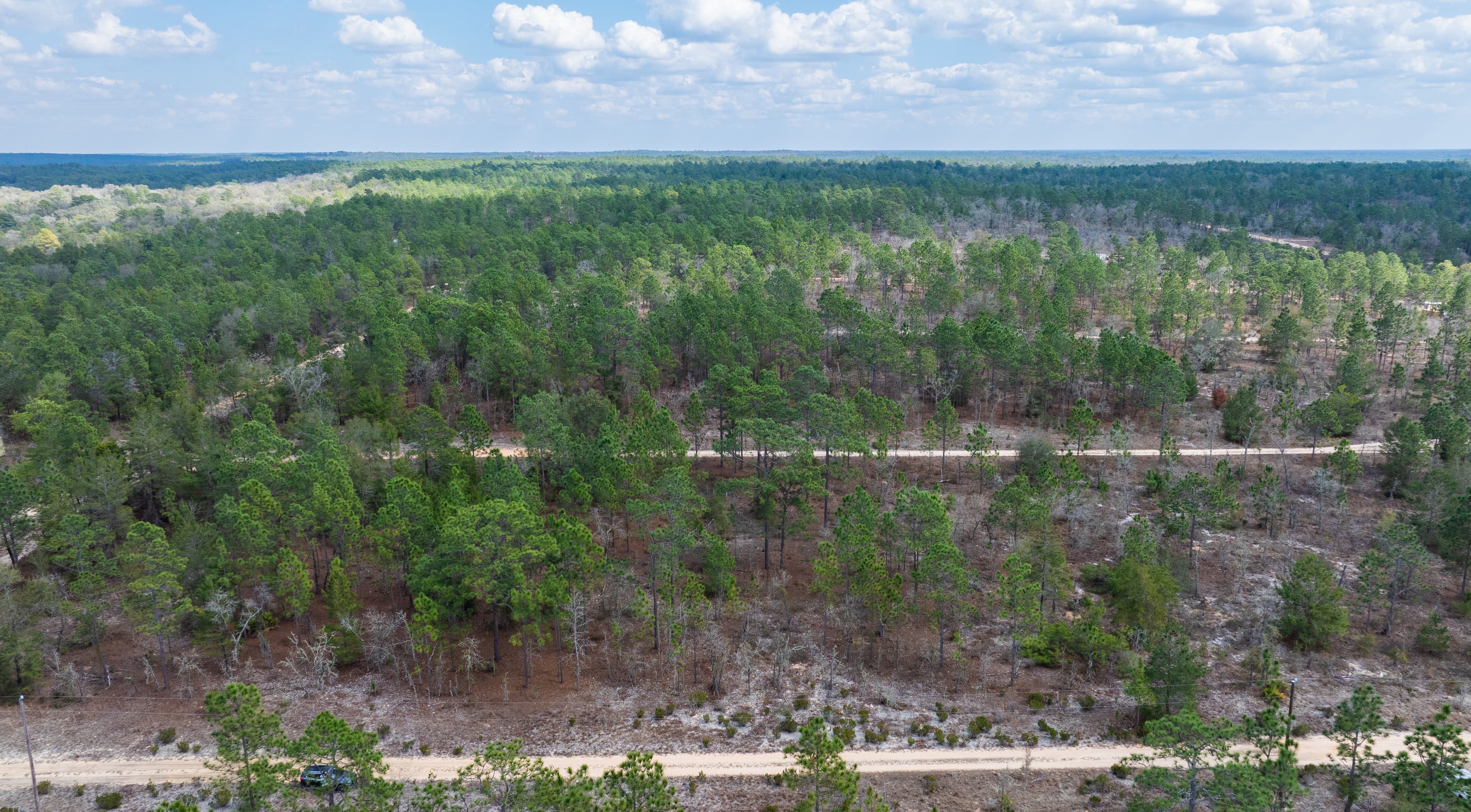 Your Massive Florida Double-Lot Escape — property view 5