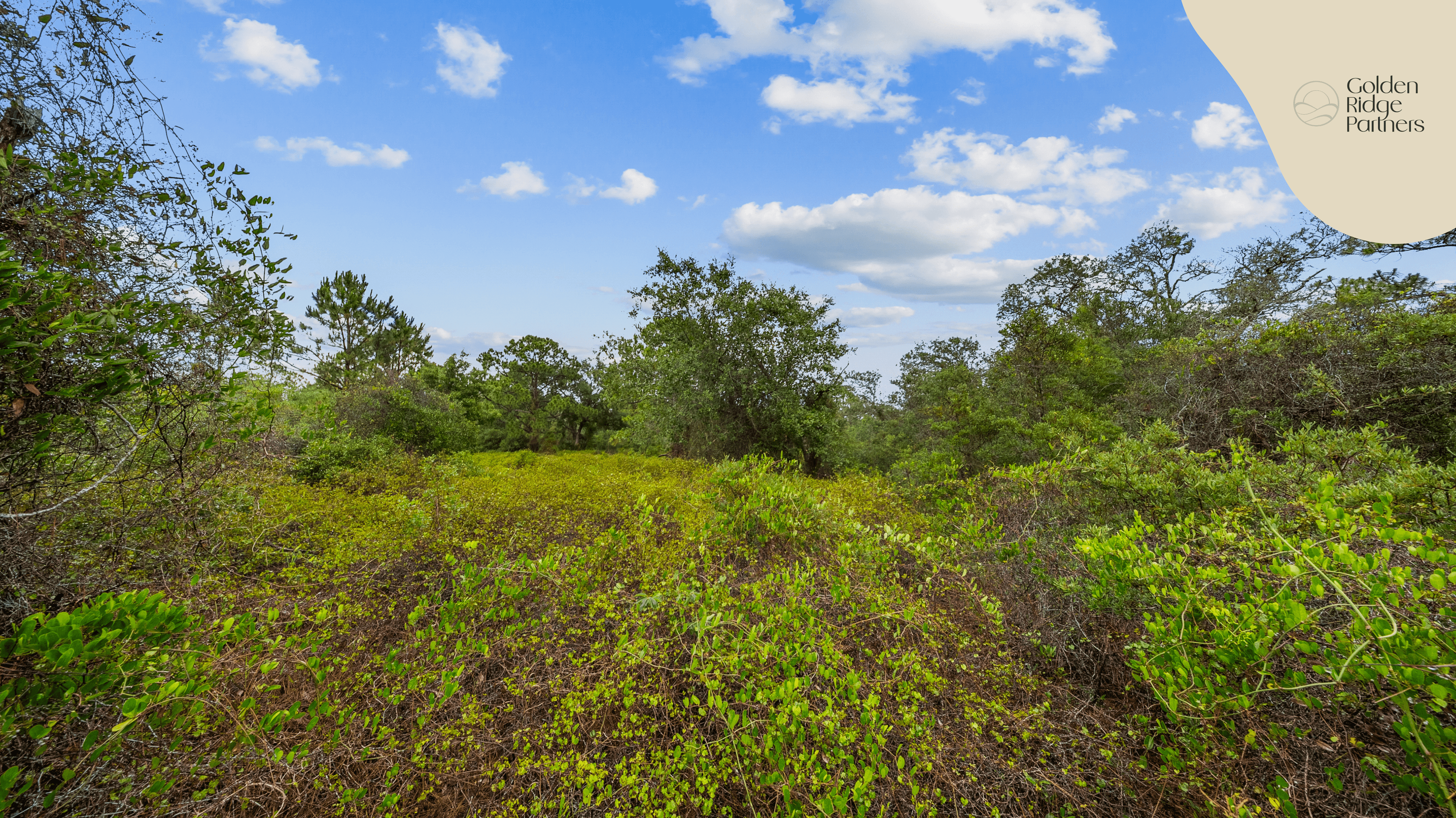 The Hollow Lane Haven: 0.23 Acres of Site-Built Exclusivity — property view 12