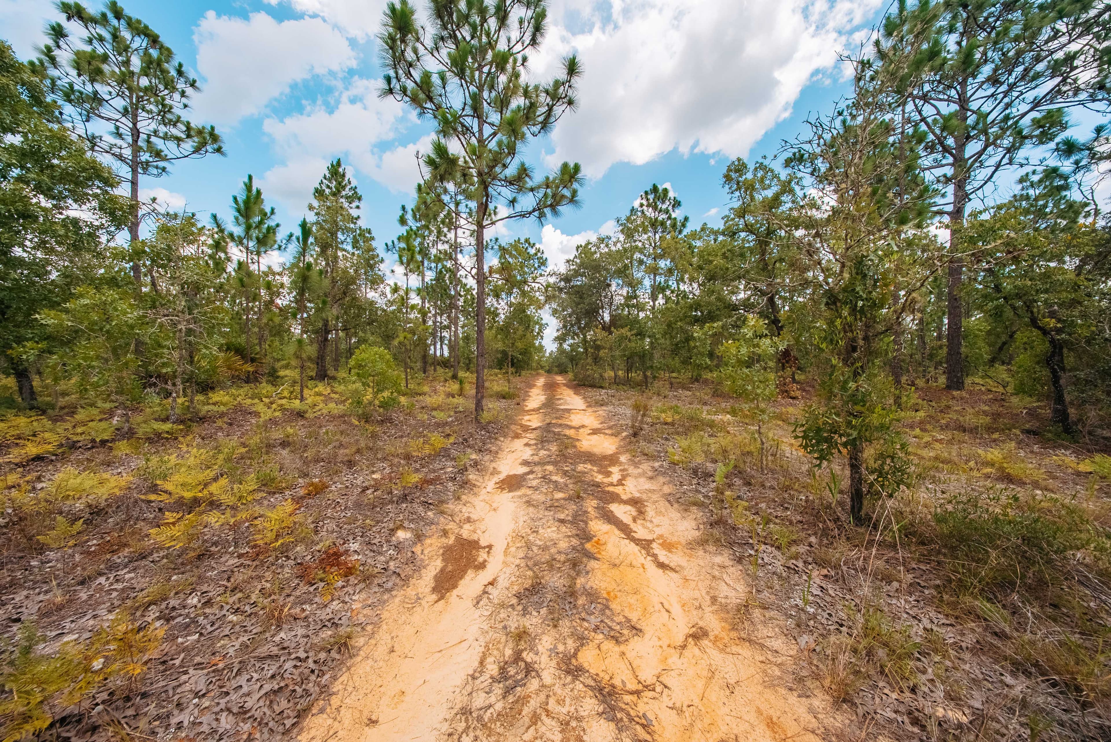 0.20 Acre Build-Ready Lot in West Lake Estates — property view 7