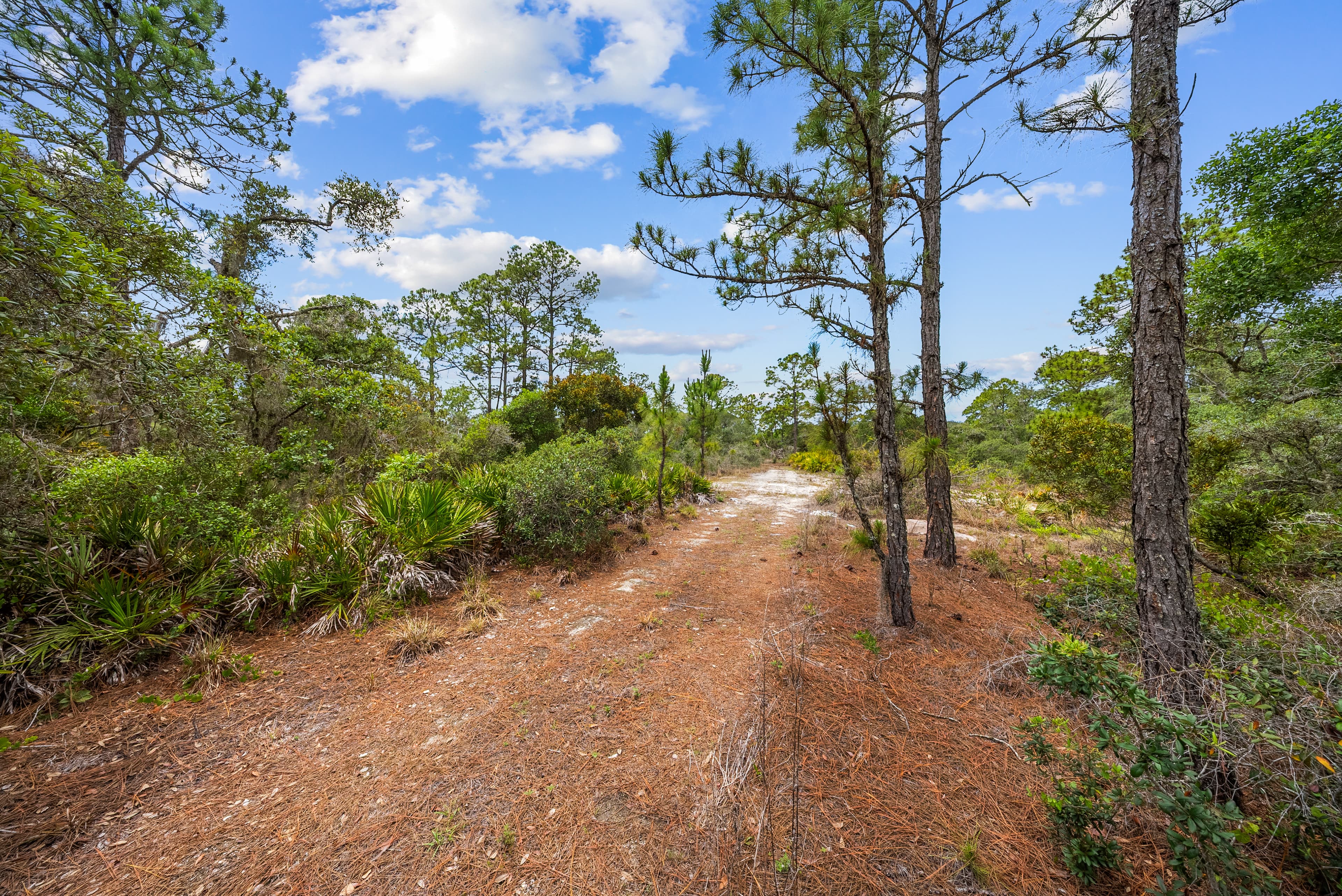 Anchor Your Dreams on Showboat Ave: 0.23 Acres of Wooded Serenity — property view 5