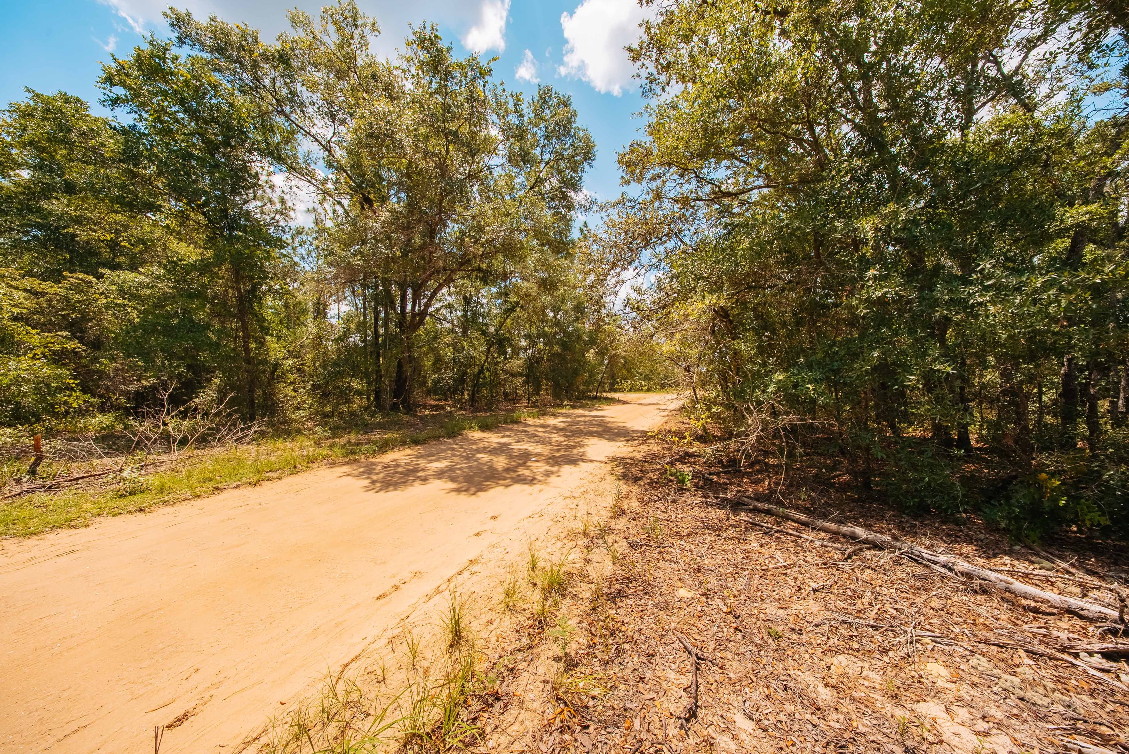 0.20 Acre Build-Ready Lot in West Lake Estates, Interlachen — property view 10