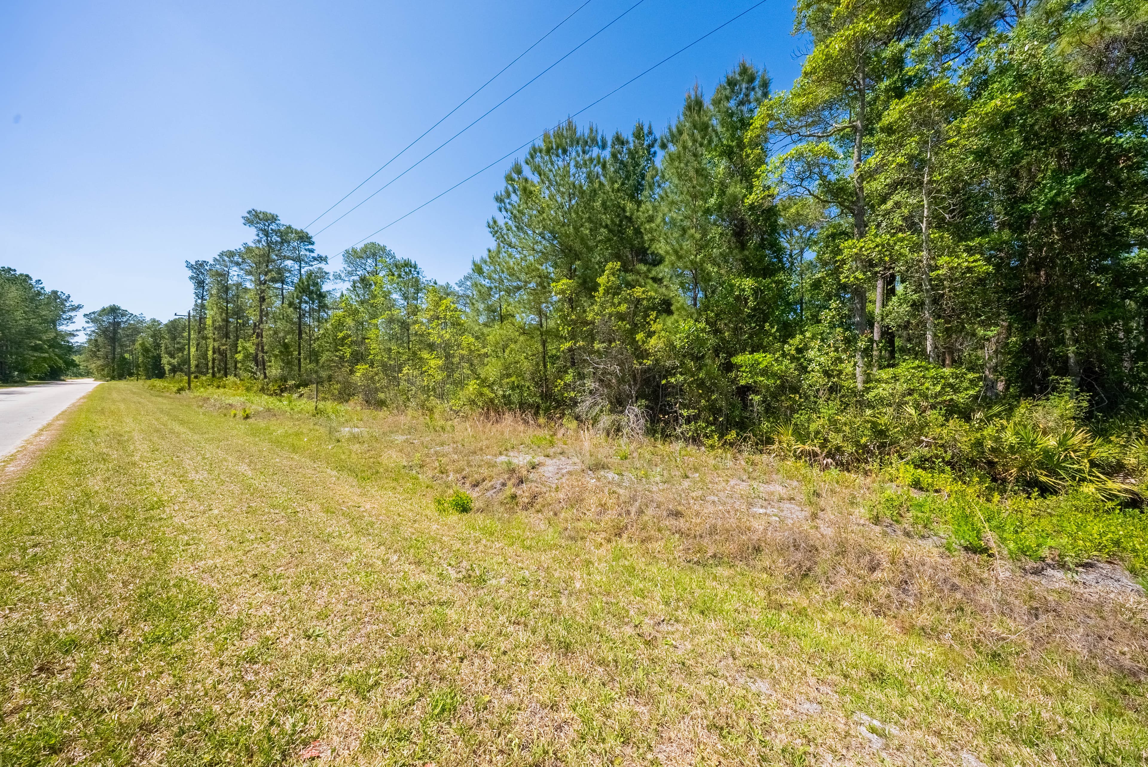 The Hickory Nut Haven: 0.24 Acres of Wooded Freedom in Wild Florida — property view 7