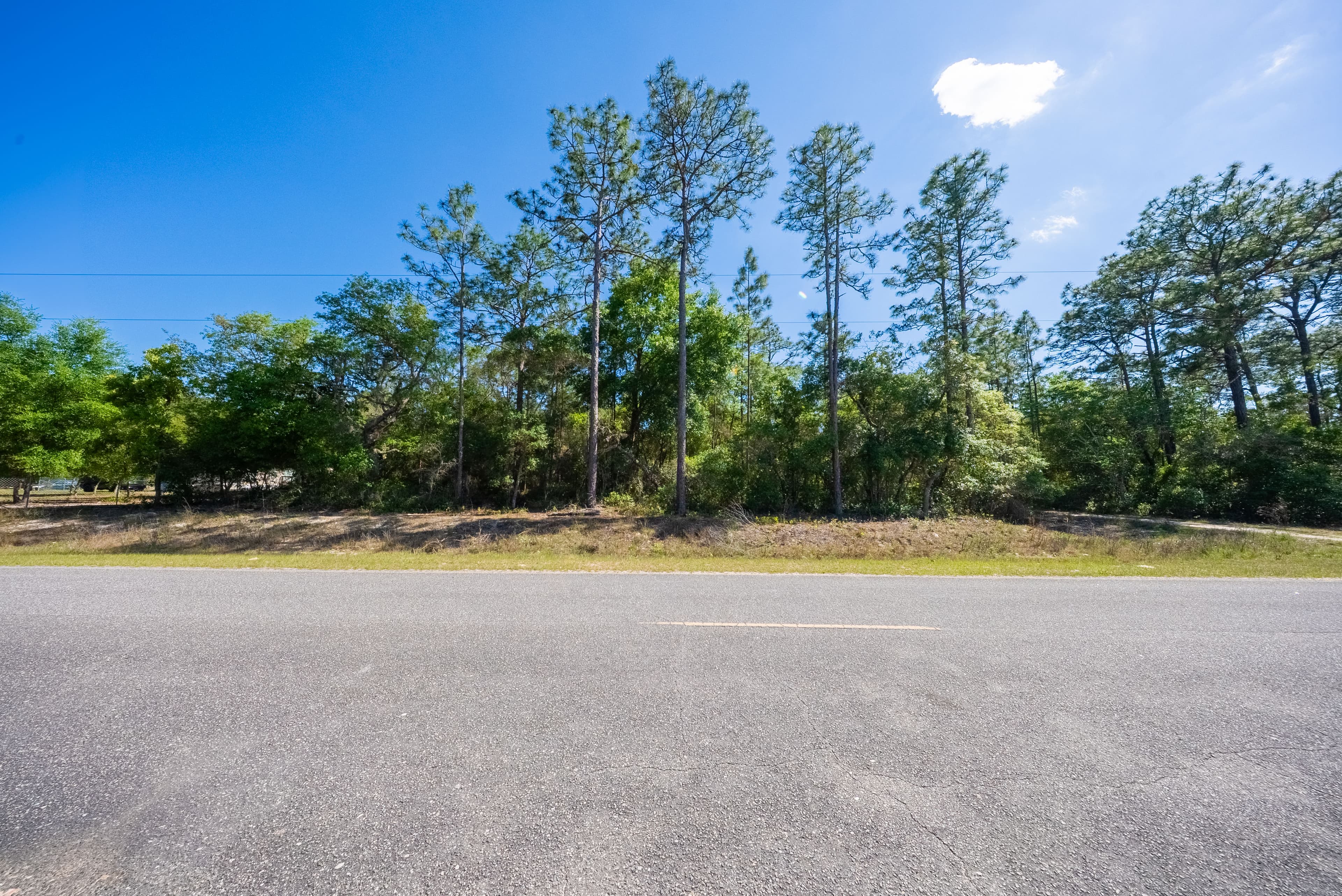 The Satsuma High-Point: 0.23 Acres of Wooded Freedom & 65ft Elevation — property view 9