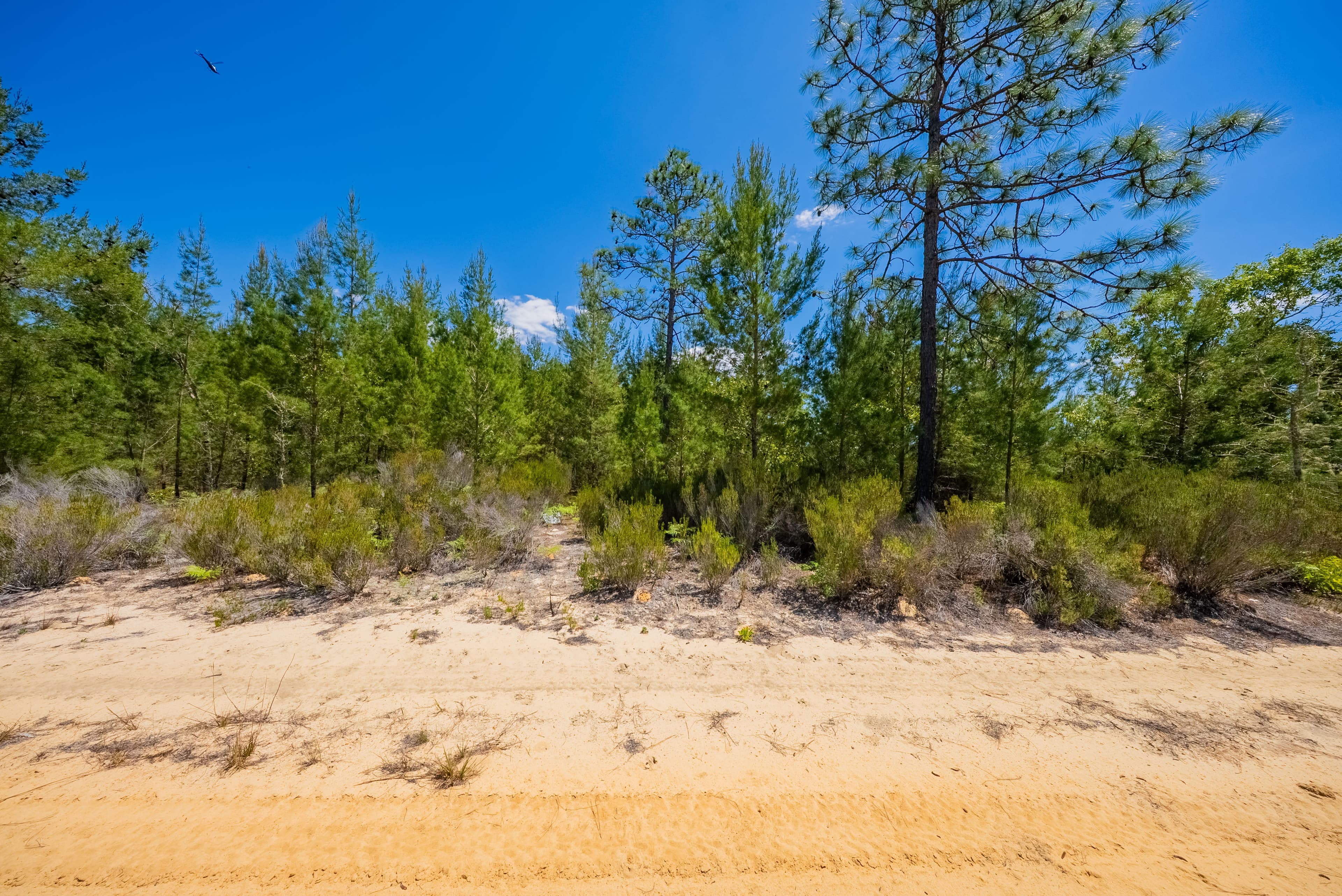 Elite 0.42-Acre High-Elevation Sanctuary – Rare 187ft Elevation Near Lake Lucy — property view 9