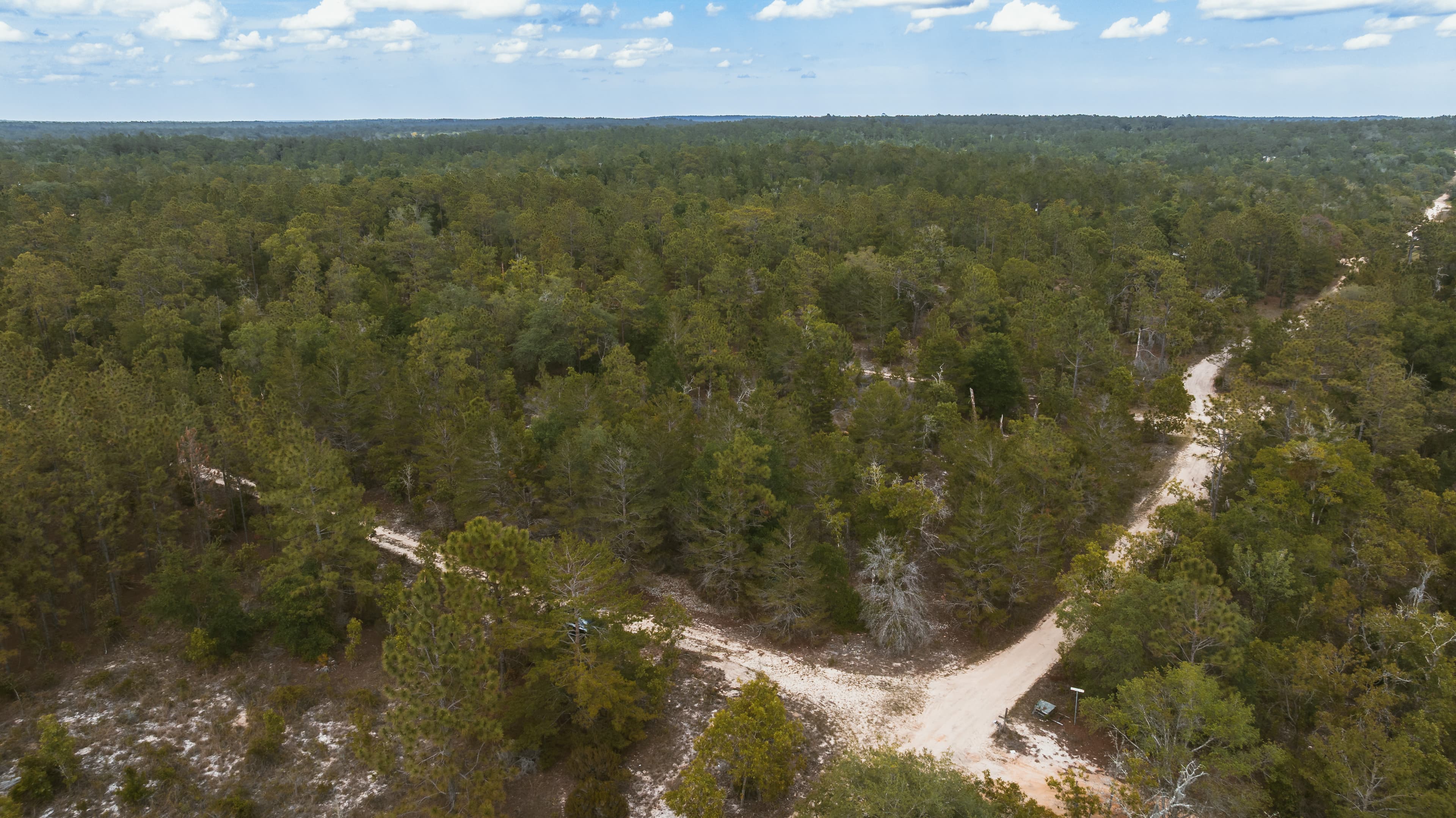 0.25 acre residential zoned land for sale in Putnam County, FL — photo 4