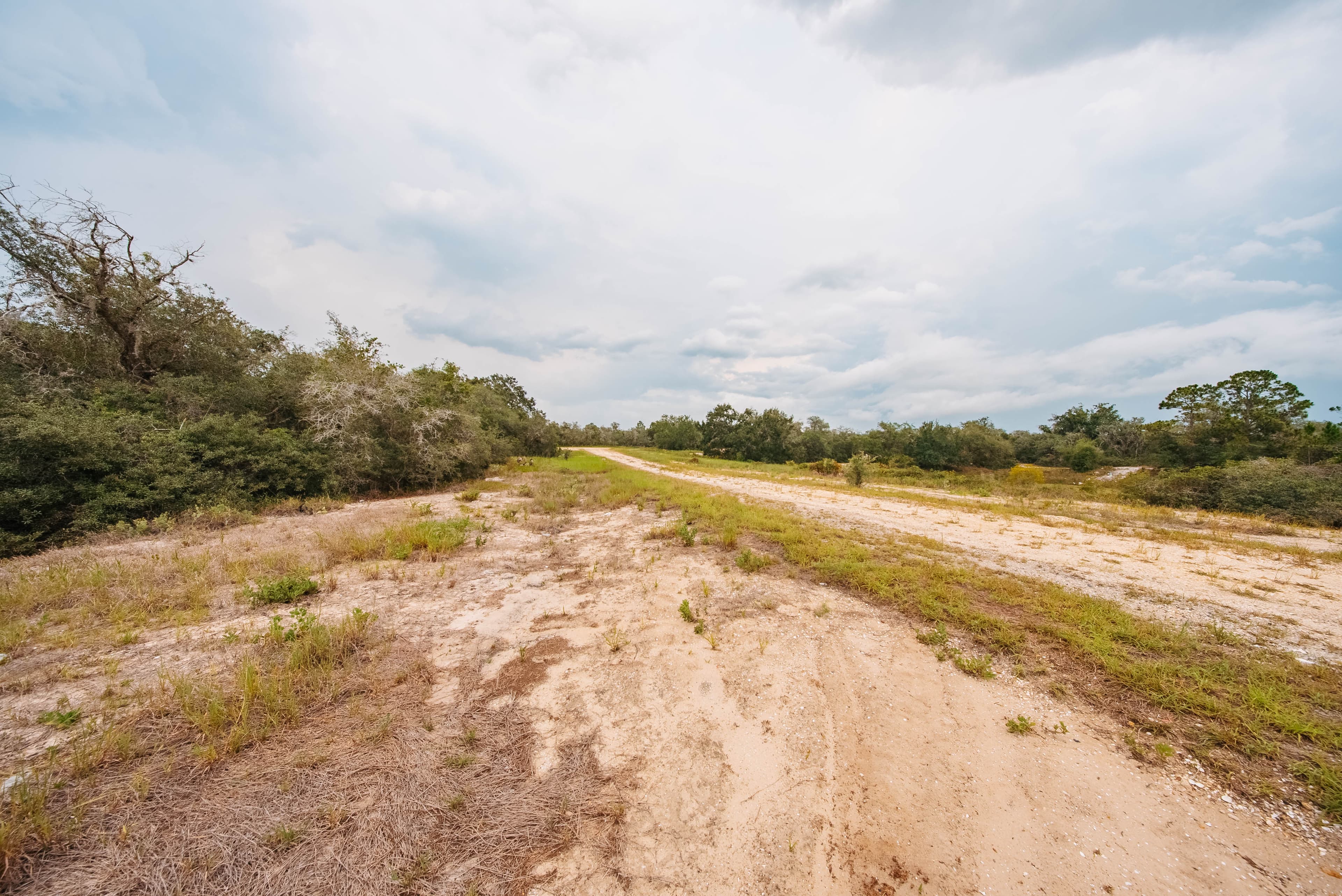 0.23 Acre Build-Ready Lot in Sun N Lakes, Lake Placid — property view 12