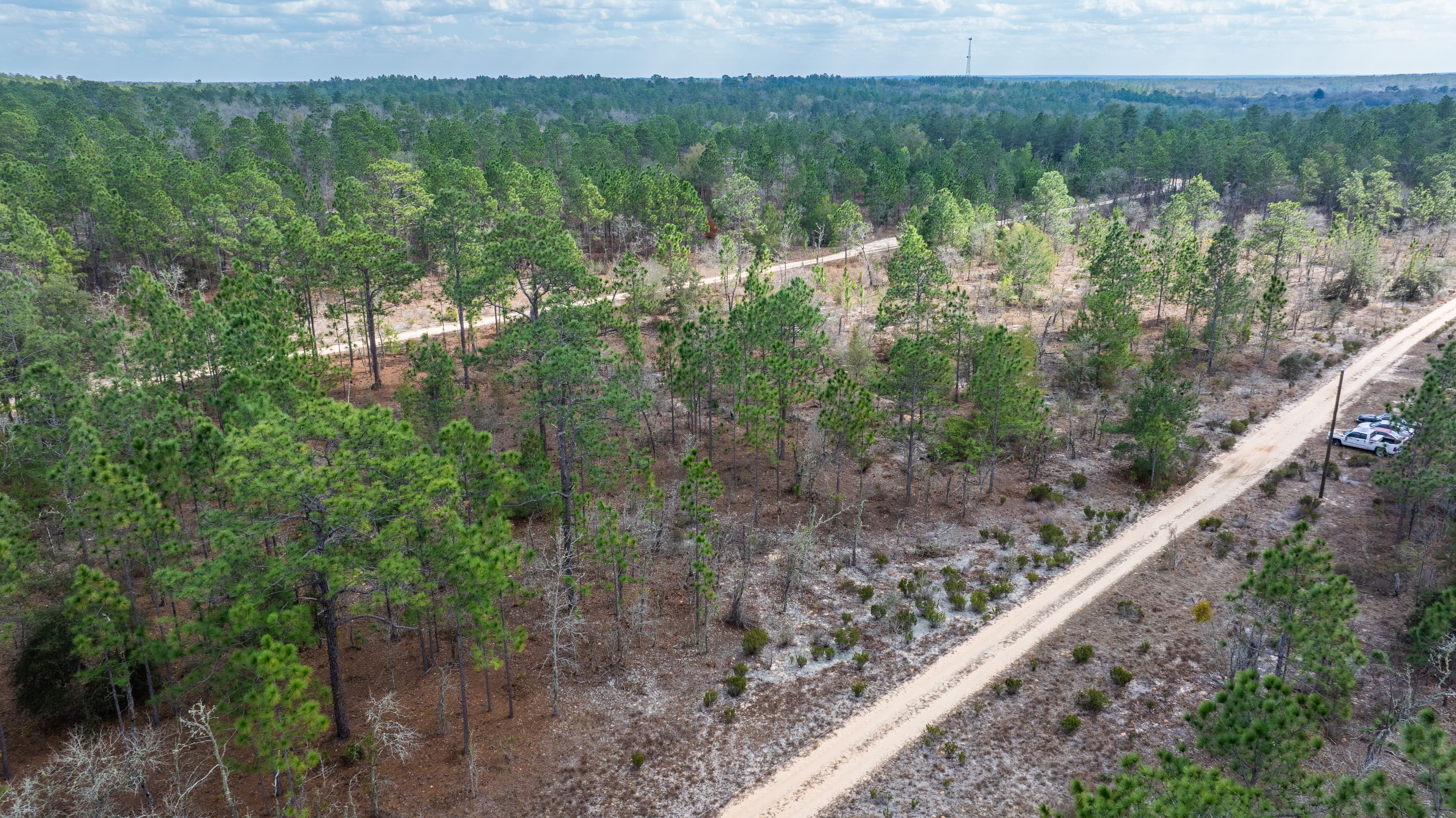 0.46 acre residential zoned land for sale in Putnam County, FL — photo 4