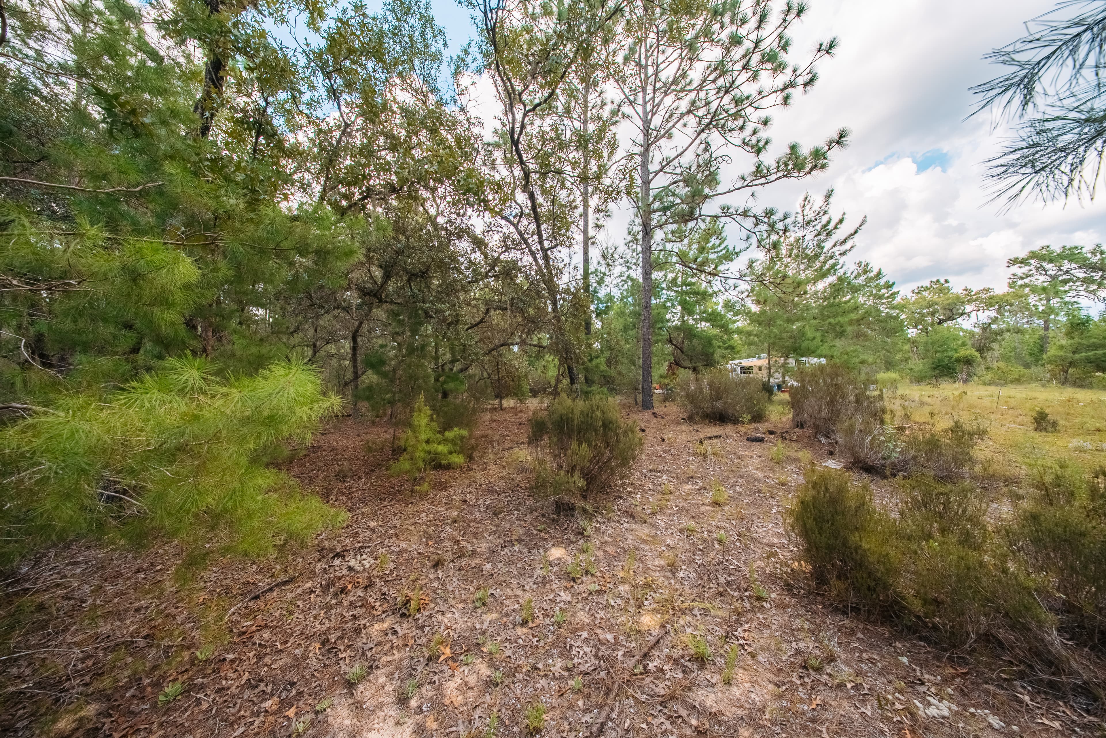  0.23 Acre Build-Ready Lot in Interlachen Lakes Estates — property view 7