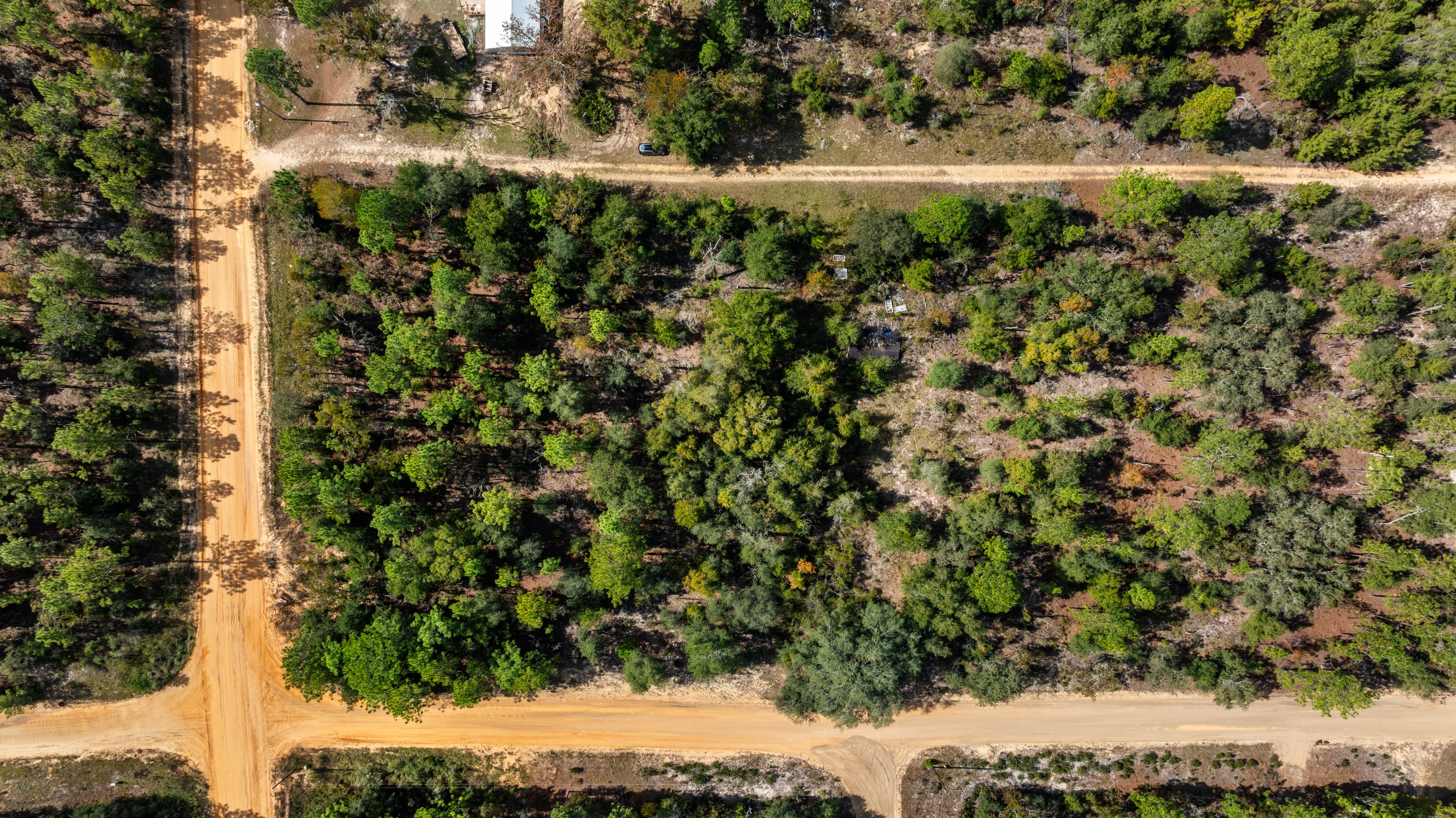 A New Chapter Awaits on Guy Avenue — property view 7