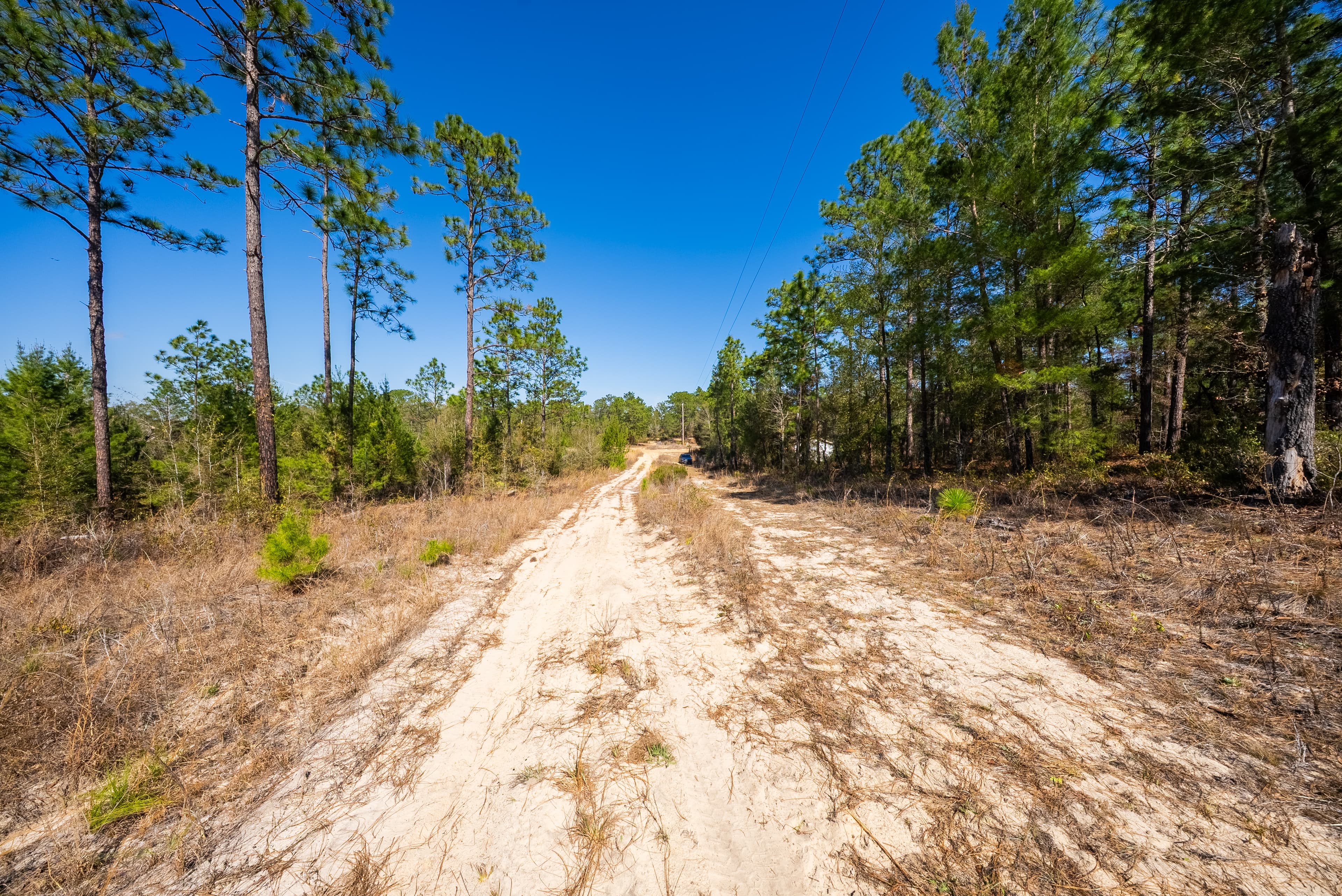 The Trout Lake Estate: 1.22 Acres of Untouched Florida Freedom — property view 5