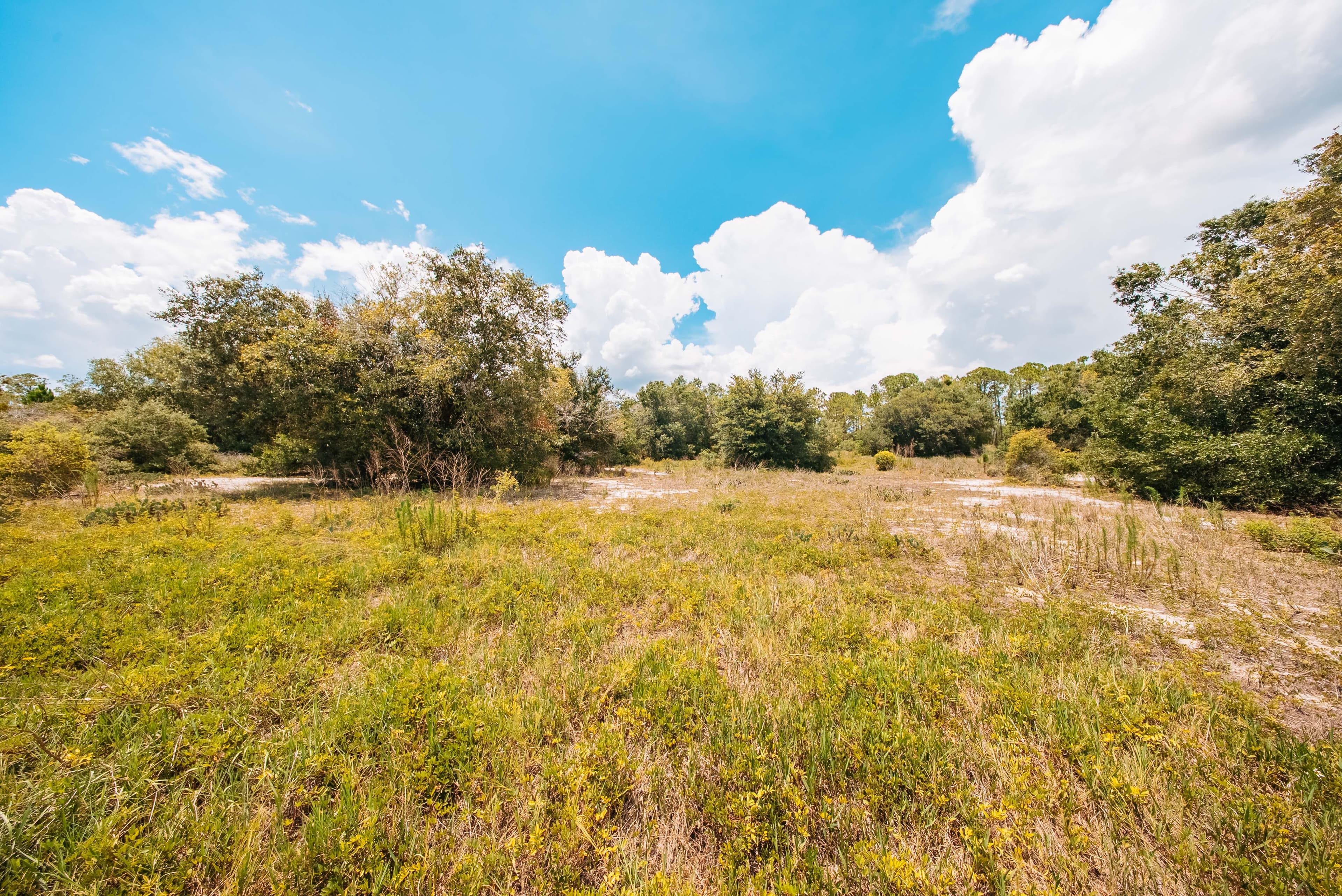  0.23 Acre Build-Ready Lot in Sun N Lakes, Lake Placid — property view 11