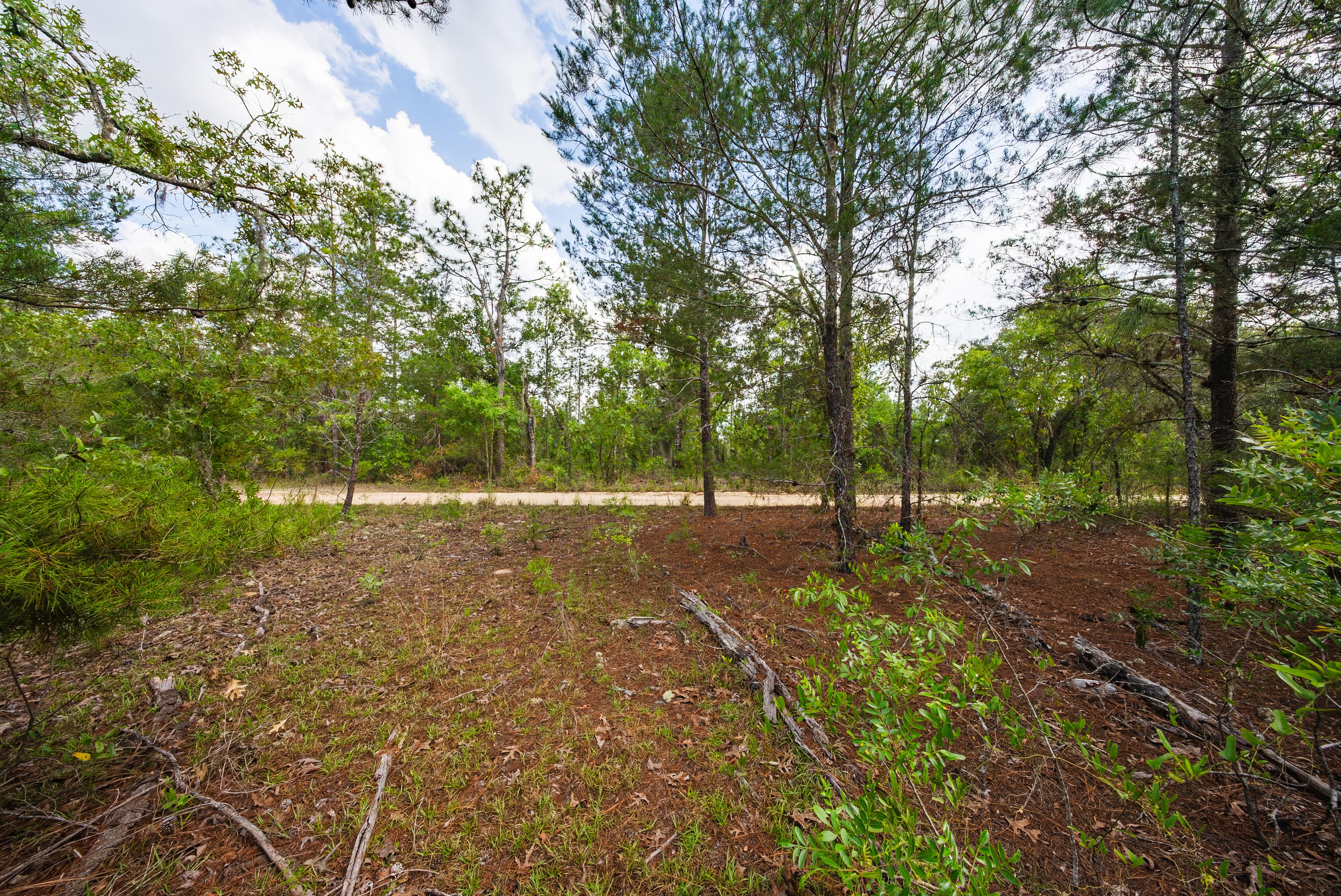 The West Lake Homestead: 0.25 Acres of AG-Zoned Freedom — property view 10