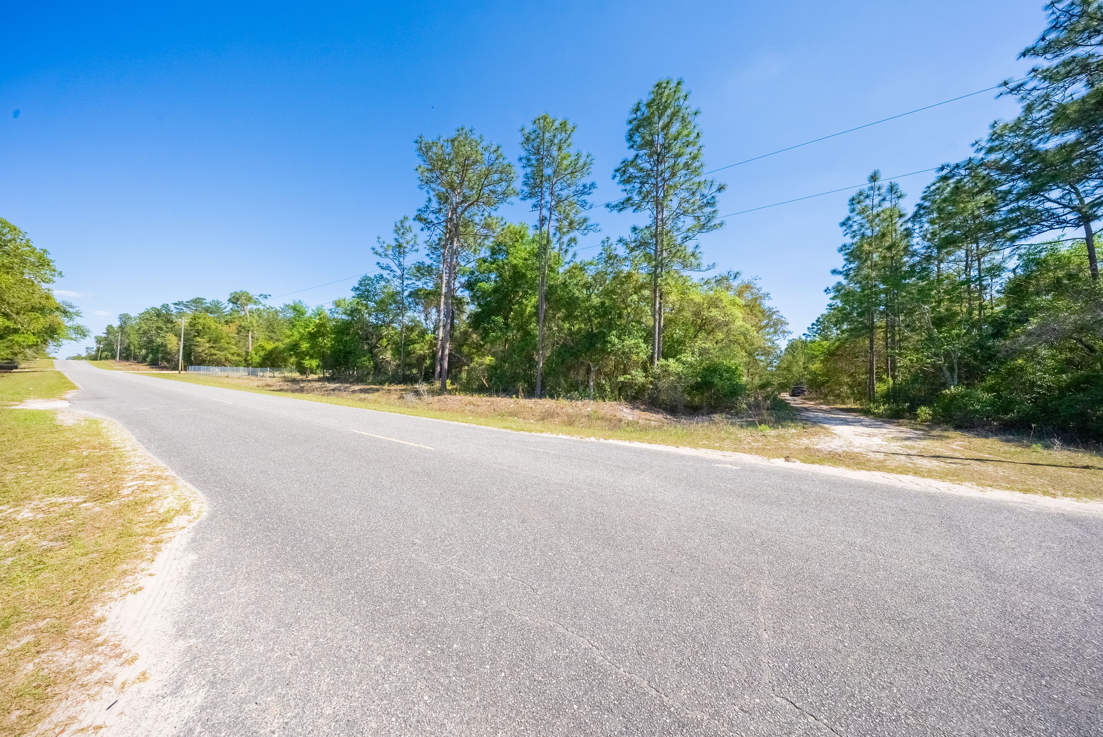 The Satsuma High-Point: 0.23 Acres of Wooded Freedom & 65ft Elevation — property view 8