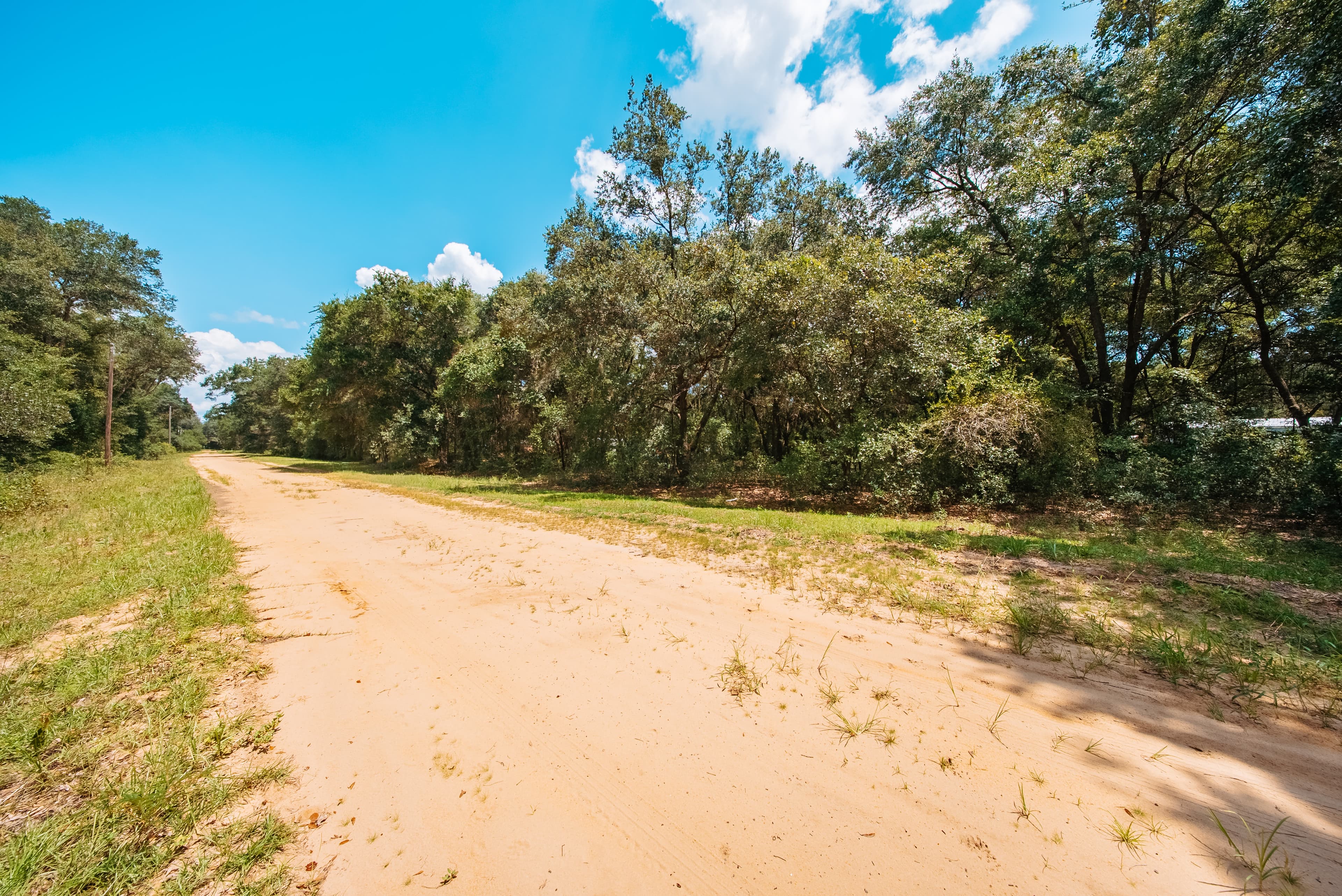 0.215 Acre Build-Ready Lot in Interlachen Lakes Estates — property view 6