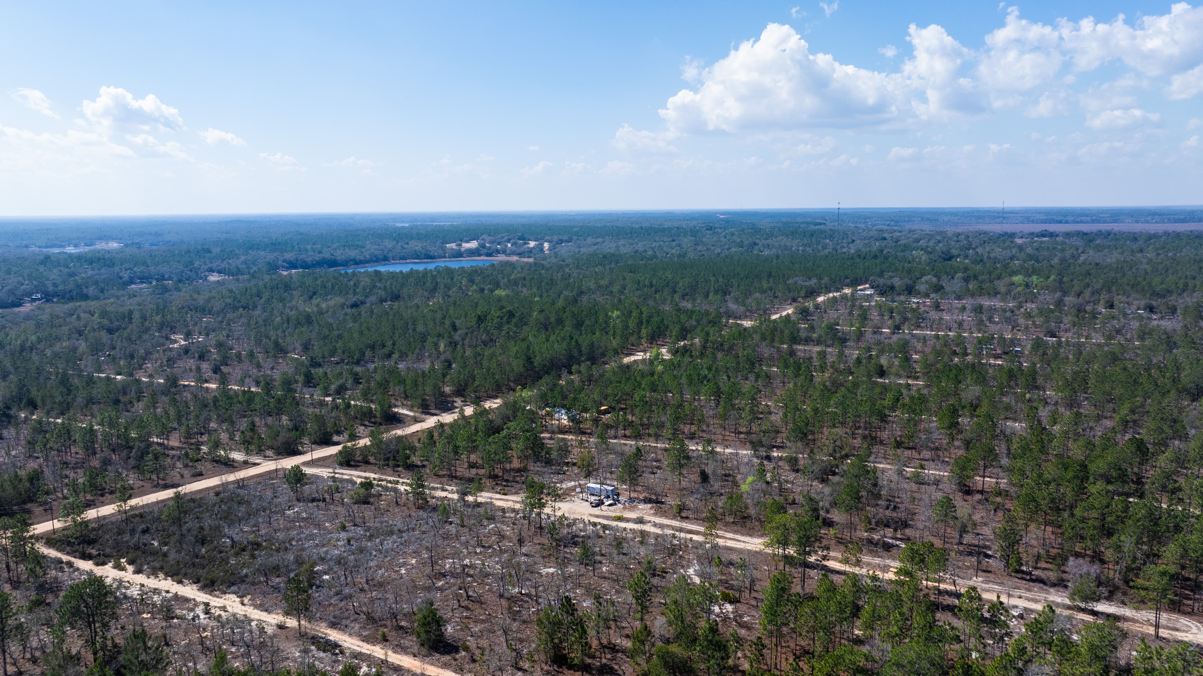 High, Dry, and Deeded: Your 0.2-Acre Florida Lookout — property view 5
