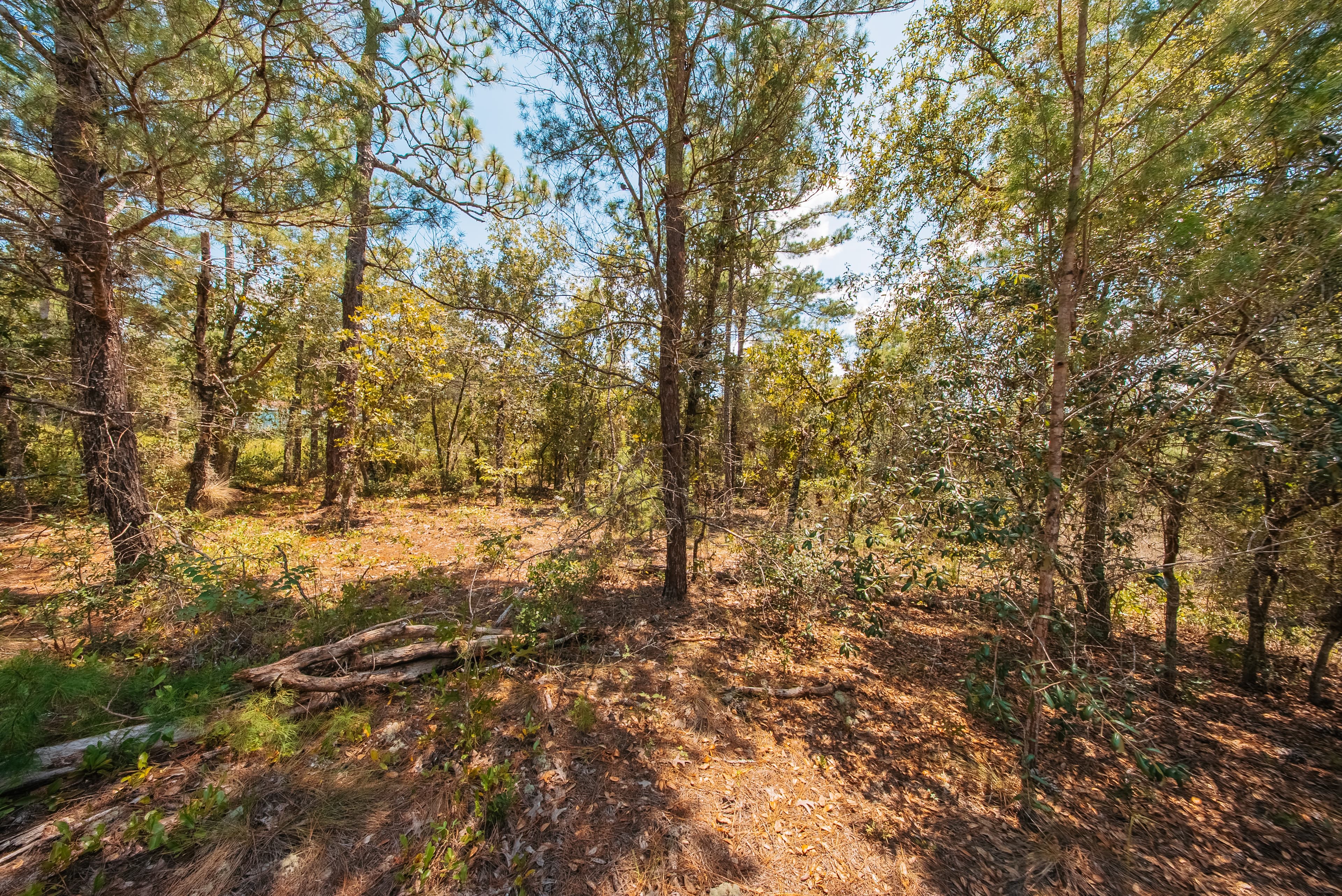 1.03 Acre Premium Estate Lot in Mariners Lake Heights, Interlachen — property view 6
