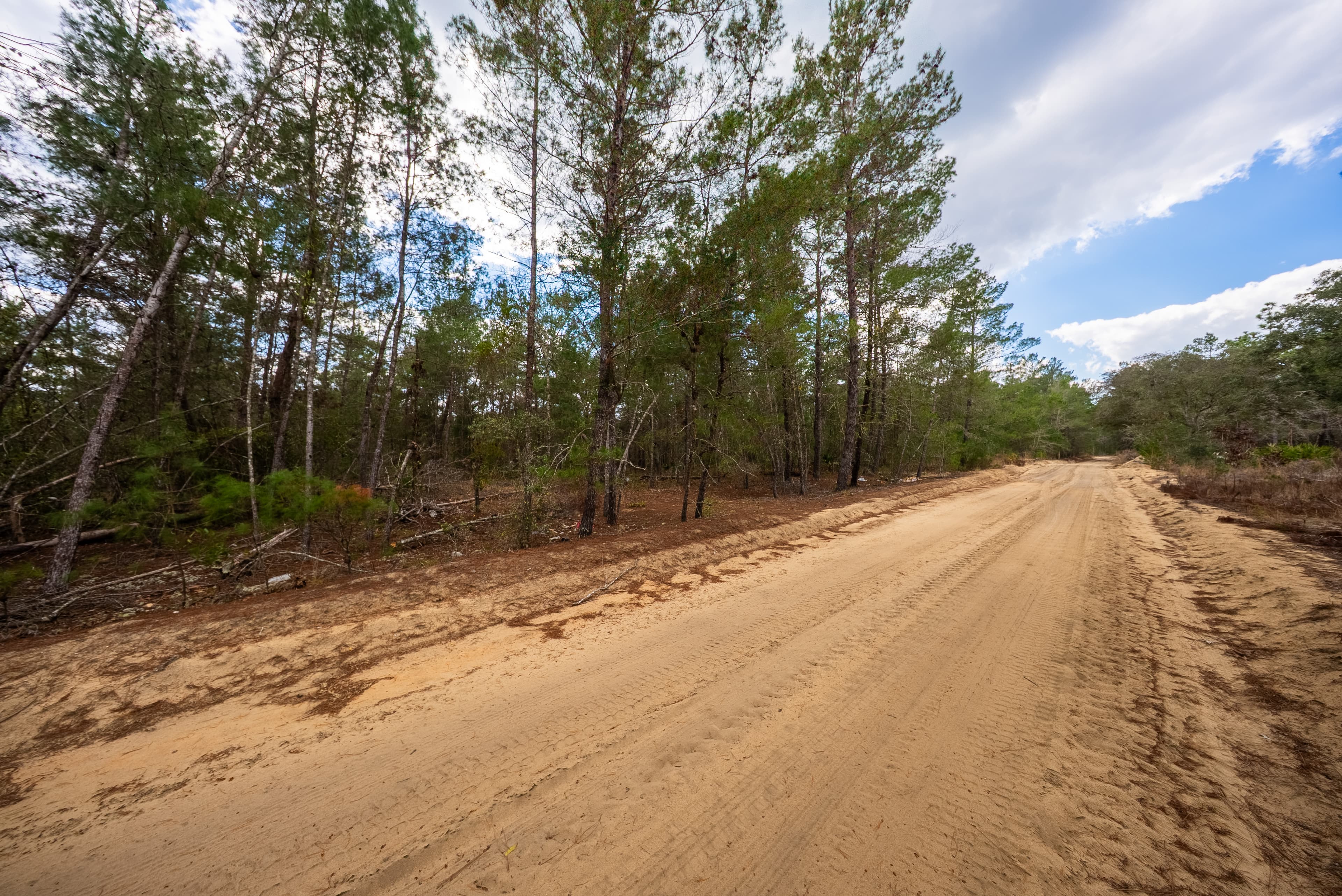 Build Your Legacy: Affordable Sunshine on 0.4 Unrestricted Acres — property view 8